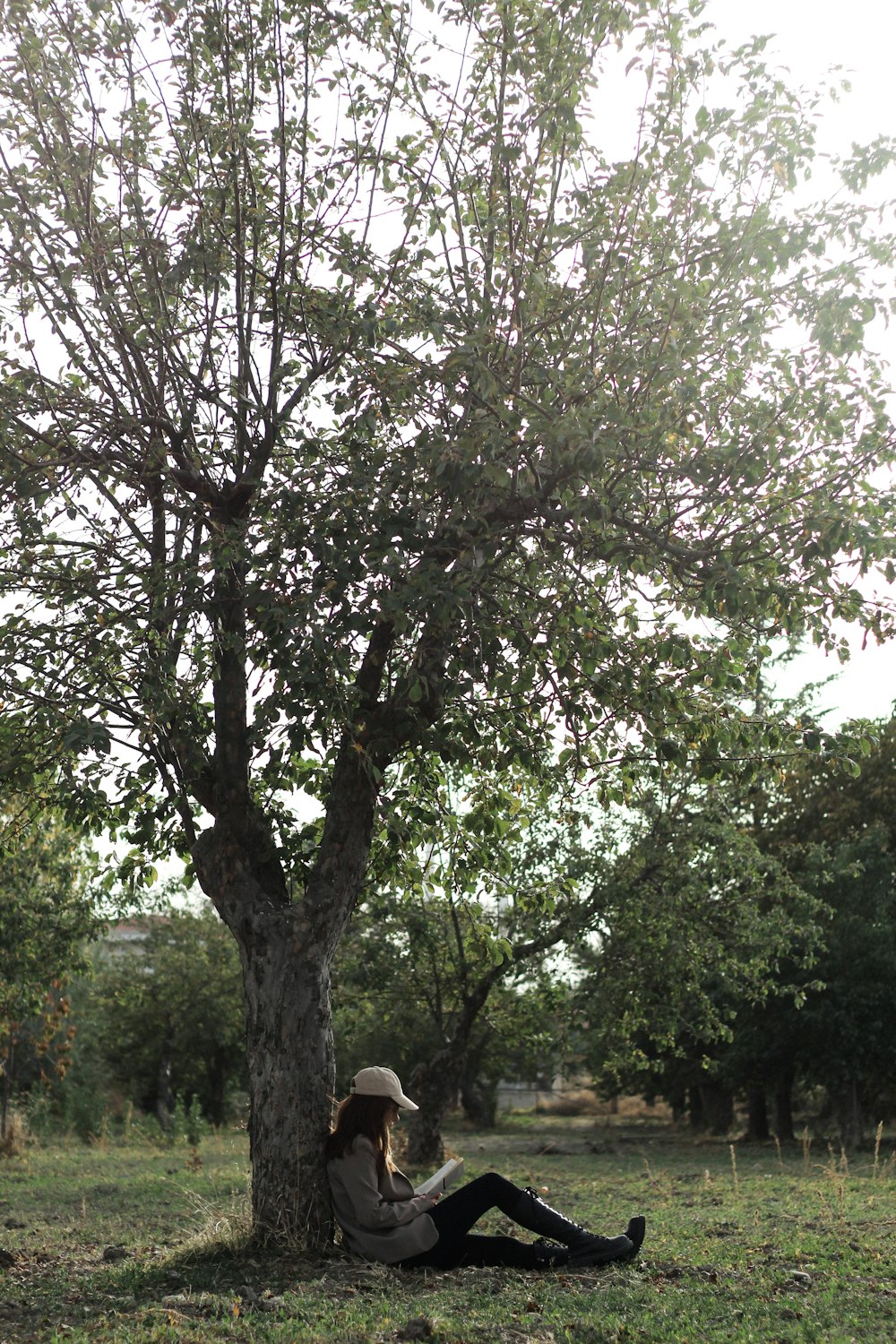 a woman sitting under a tree reading a book