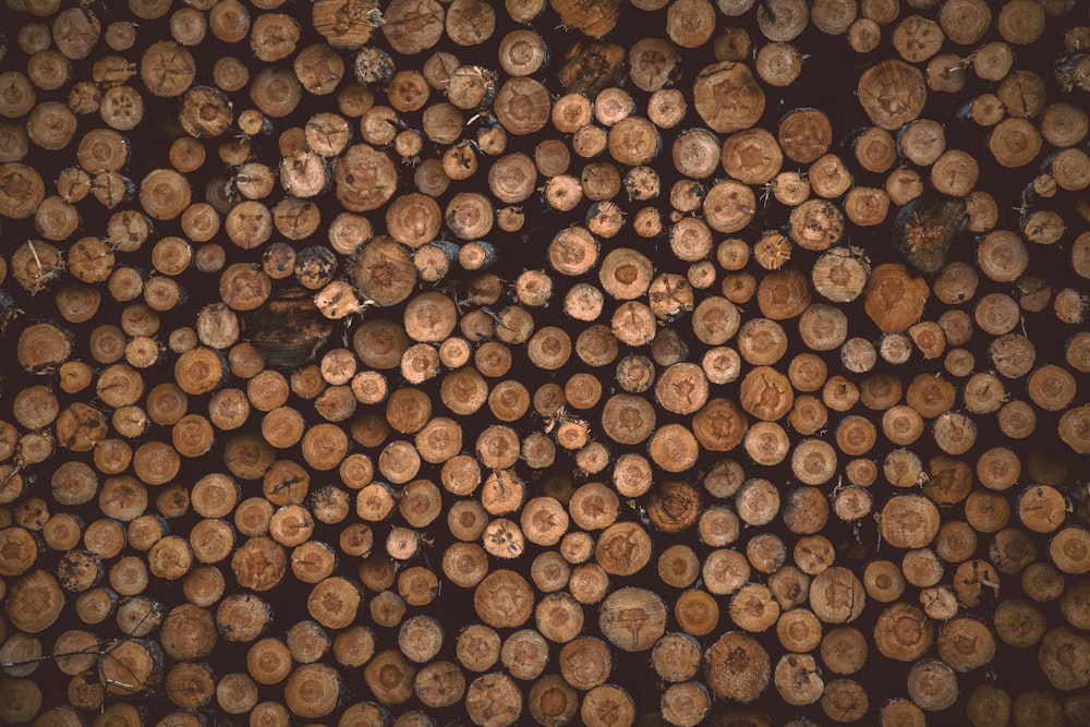 a bunch of logs stacked on top of each other