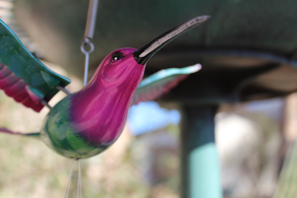 a hummingbird hanging from a bird feeder