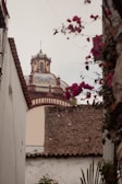 A traditional Spanish-style building with a detailed dome is partially visible through an alley. Flowering plants with pink blooms frame the view, contrasting with the stone and white plaster walls surrounding the scene.