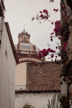 A traditional Spanish-style building with a detailed dome is partially visible through an alley. Flowering plants with pink blooms frame the view, contrasting with the stone and white plaster walls surrounding the scene.