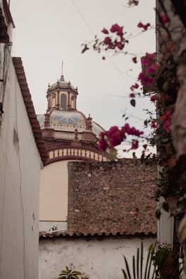 A traditional Spanish-style building with a detailed dome is partially visible through an alley. Flowering plants with pink blooms frame the view, contrasting with the stone and white plaster walls surrounding the scene.