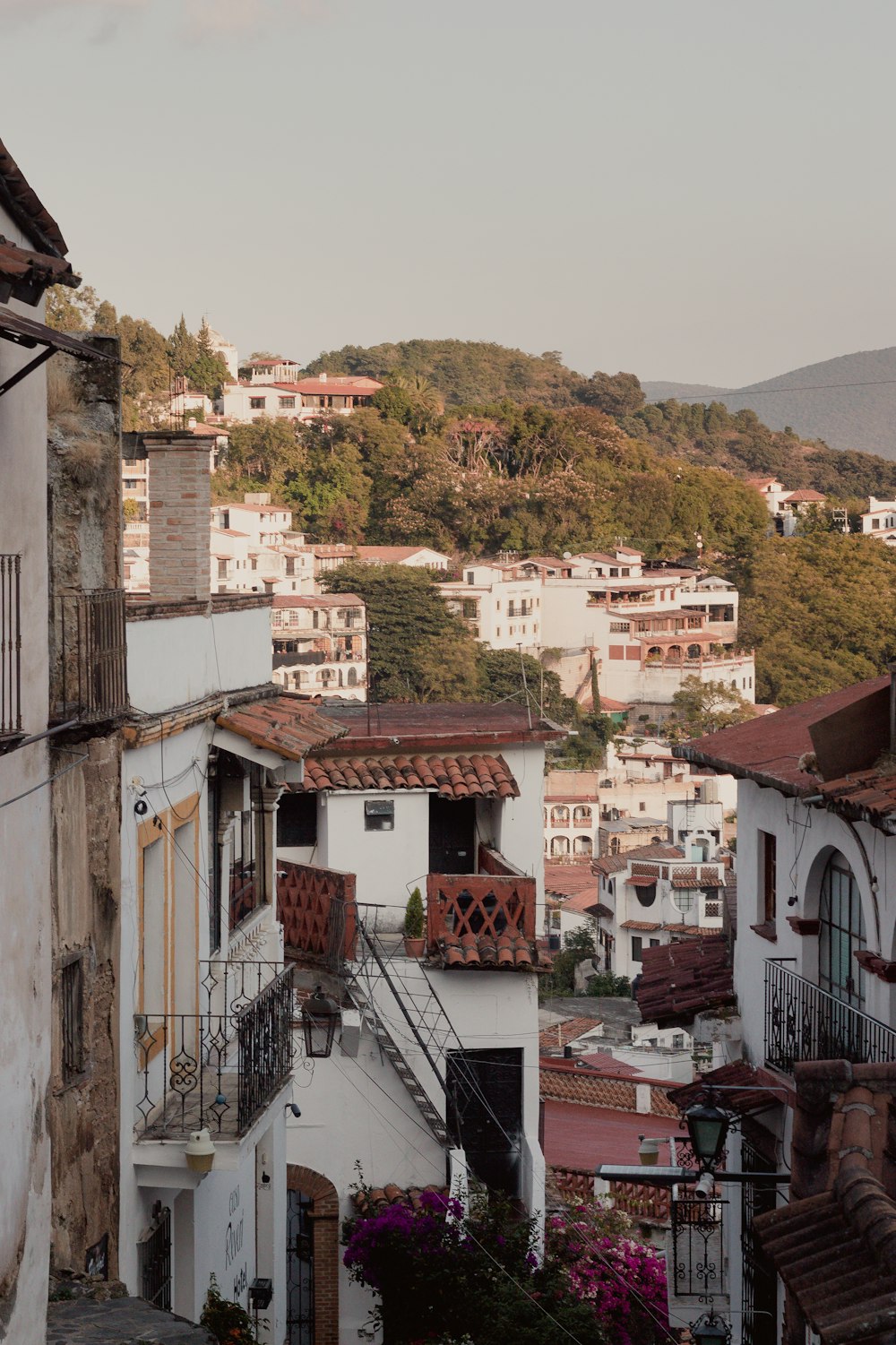 a view of a city from a hill