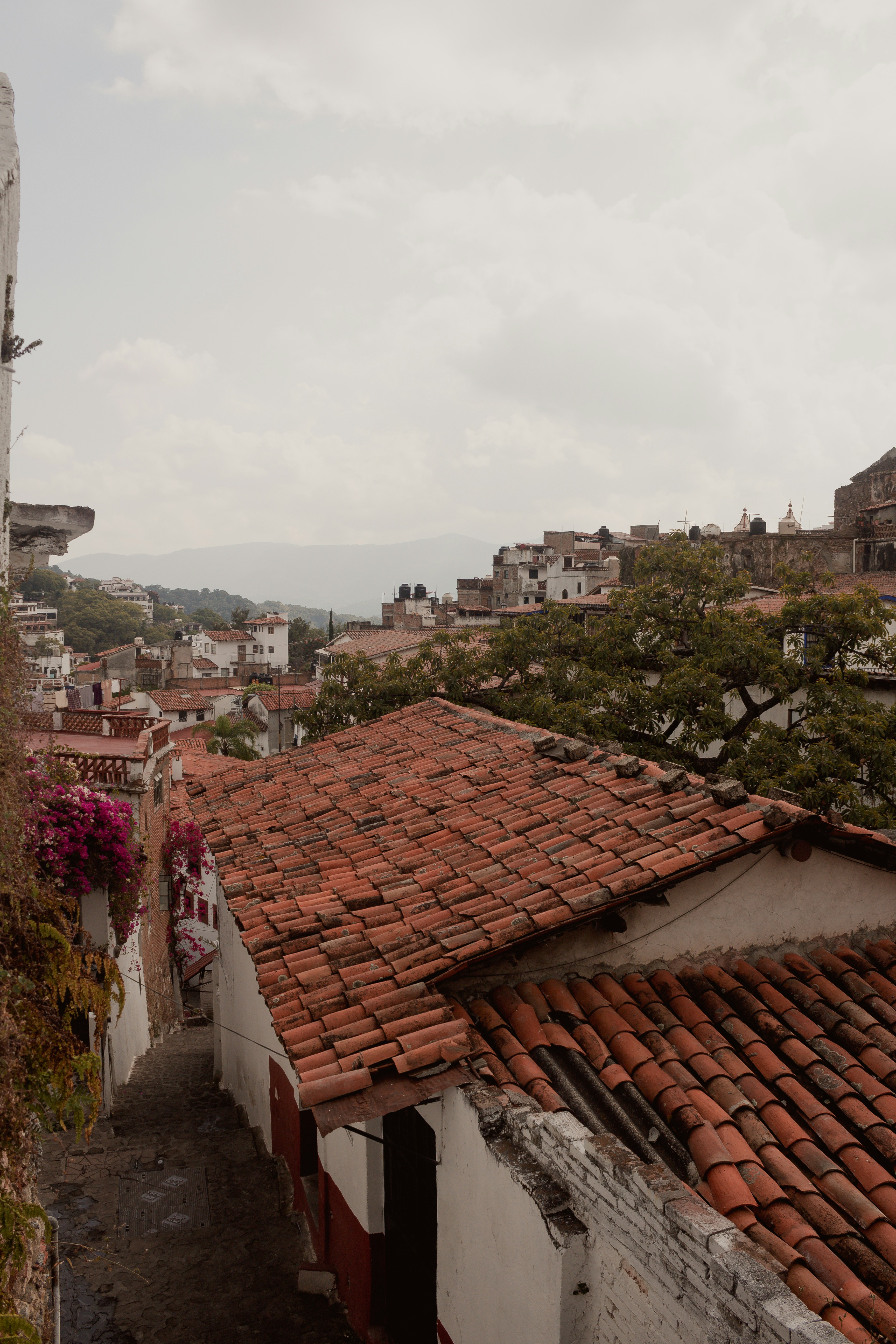 Photo by chrisluengas