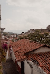 a view of a city from a rooftop