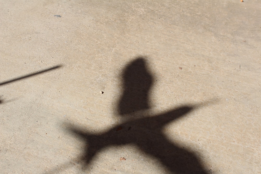 a shadow of a person holding a skateboard