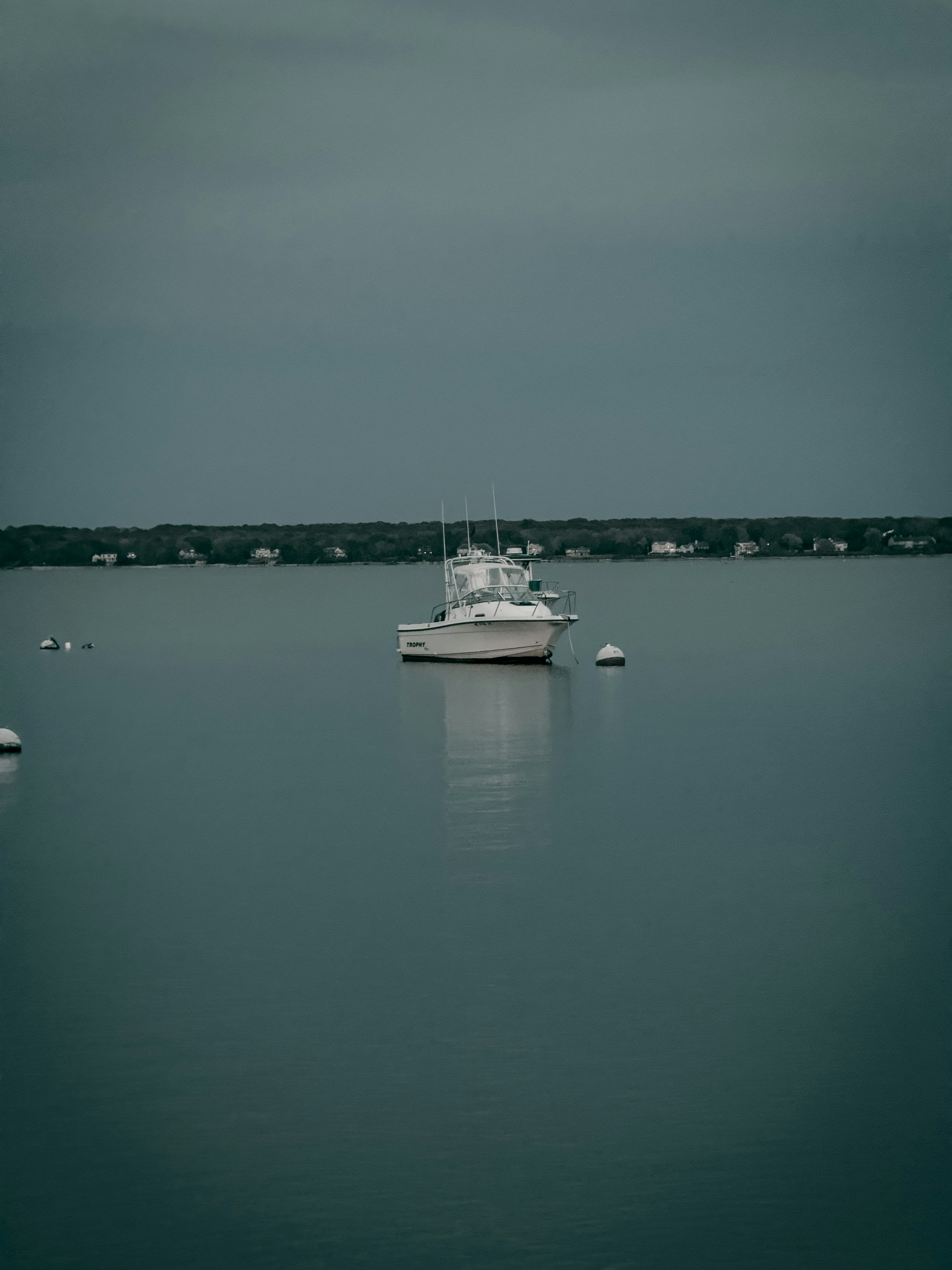 Photo by ymoran