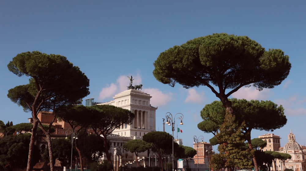 a tall white building surrounded by trees on a sunny day