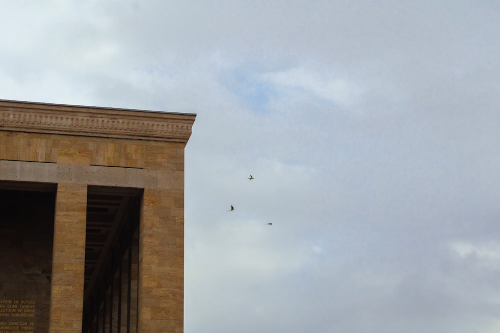 a couple of birds flying over a building