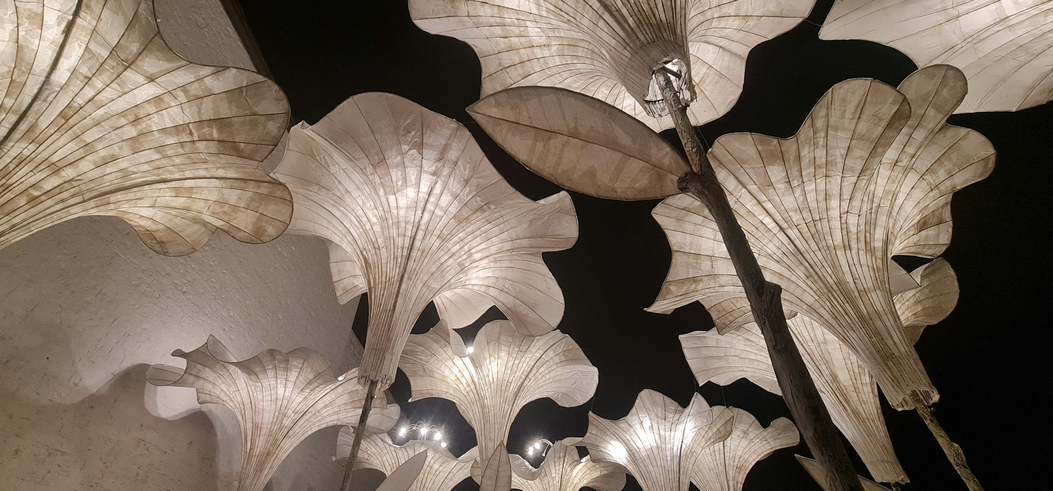 Artful Lighting Designs Collection