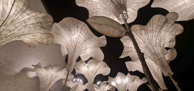 Large, elegant flower-shaped lamps made of translucent material are illuminated against a dark background. The design features organic curves and lines, resembling petals unfolding towards the sky. The lighting creates a soft, atmospheric glow that enhances the texture and structure of the lamps.