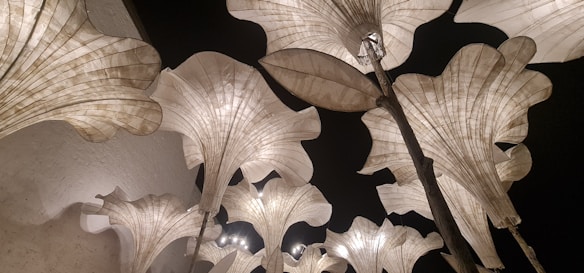 Large, elegant flower-shaped lamps made of translucent material are illuminated against a dark background. The design features organic curves and lines, resembling petals unfolding towards the sky. The lighting creates a soft, atmospheric glow that enhances the texture and structure of the lamps.