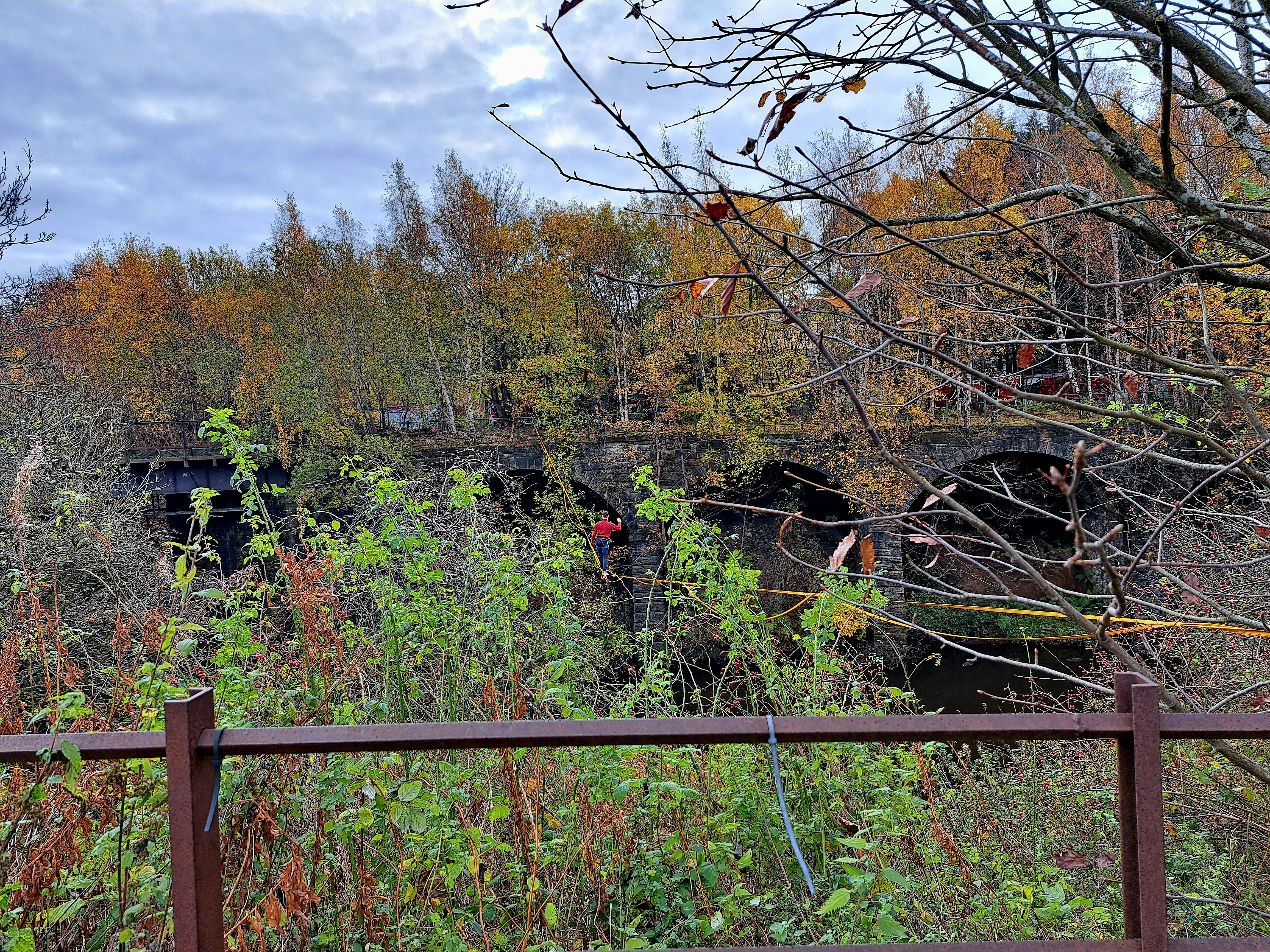 un treno che viaggia attraverso una foresta piena di alberi