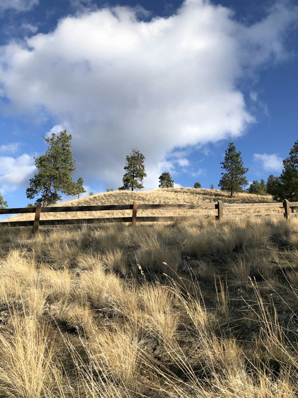 una valla de madera en un campo con hierba alta