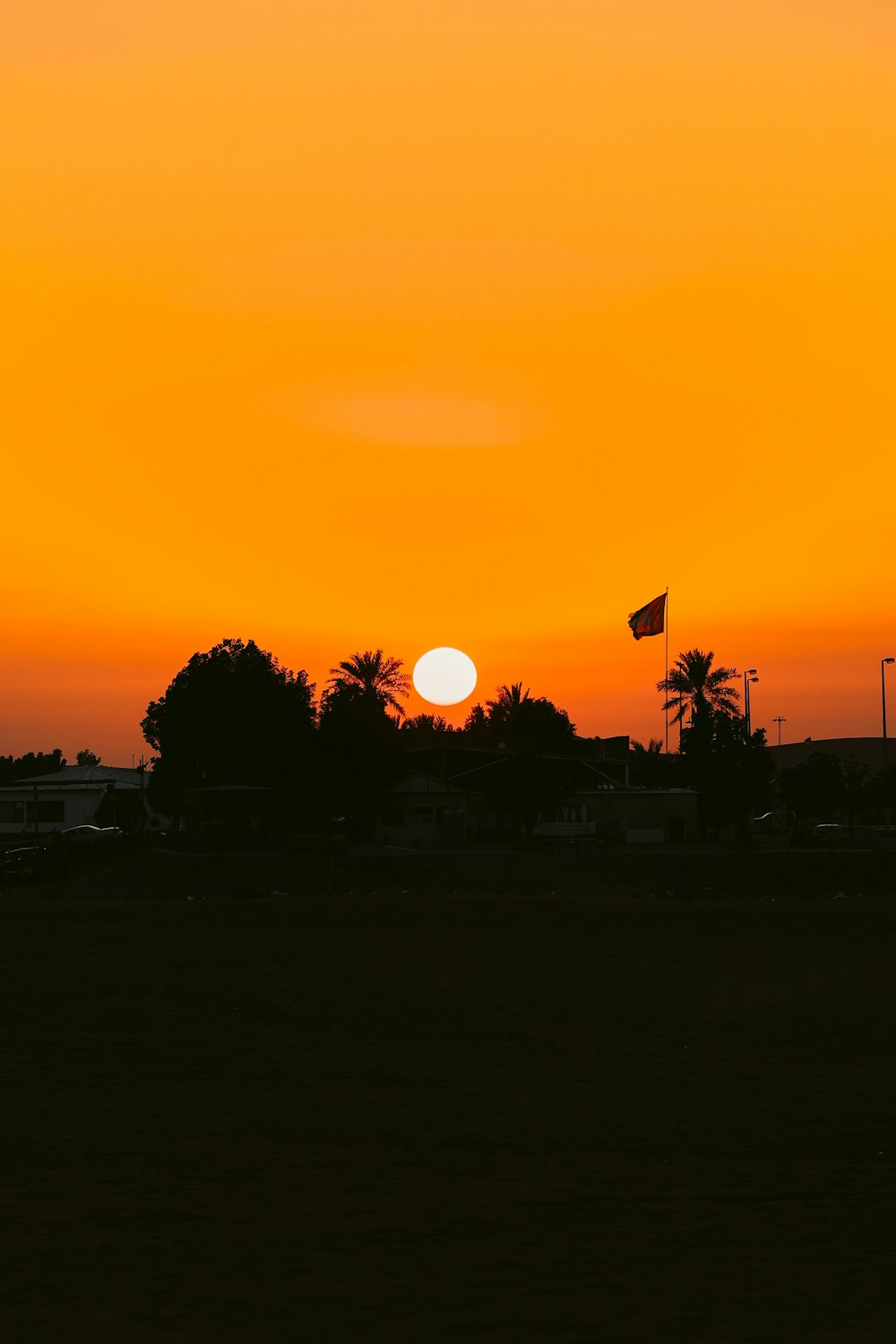 the sun is setting over a field with palm trees
