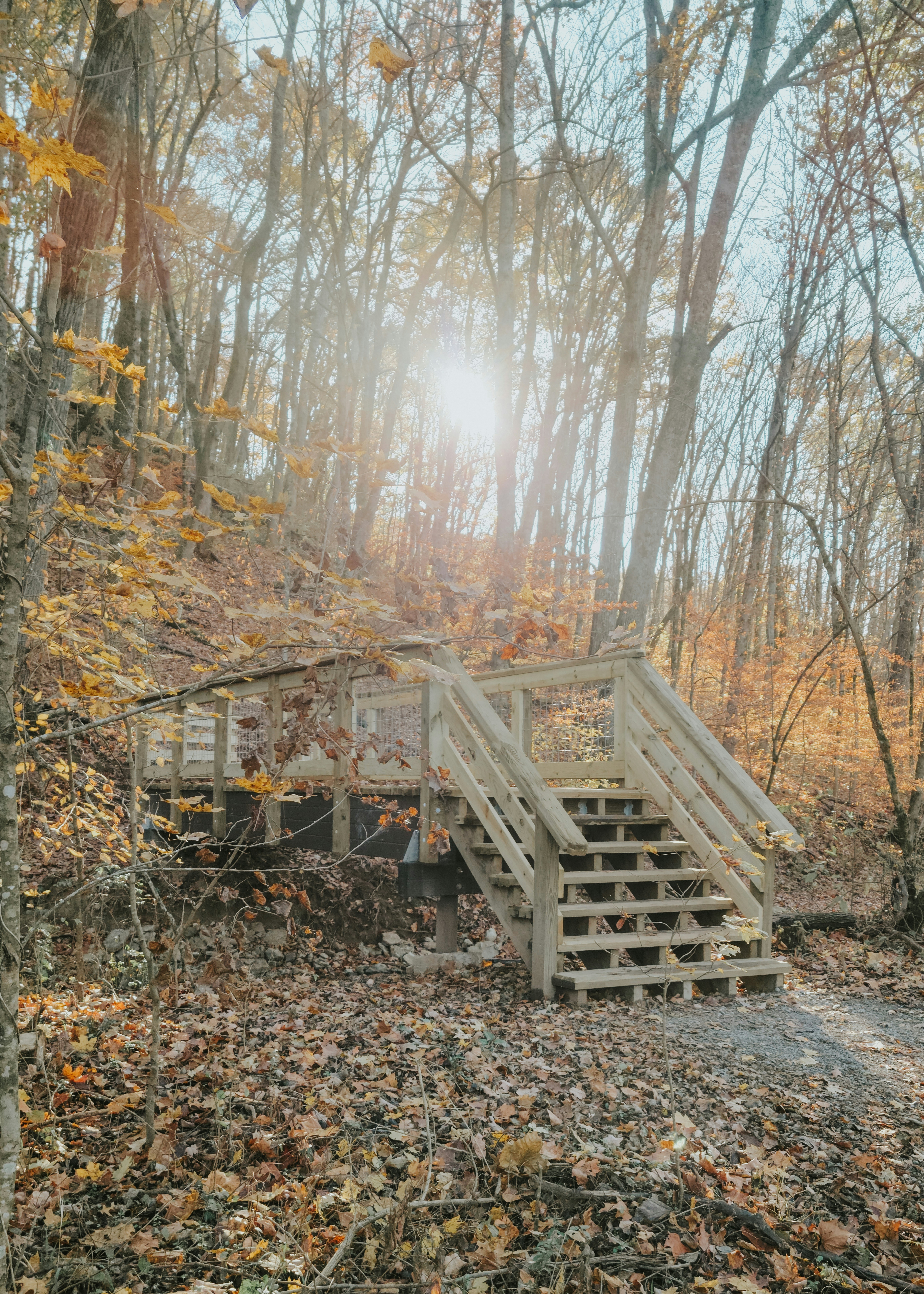 Photo by fieldworkframes