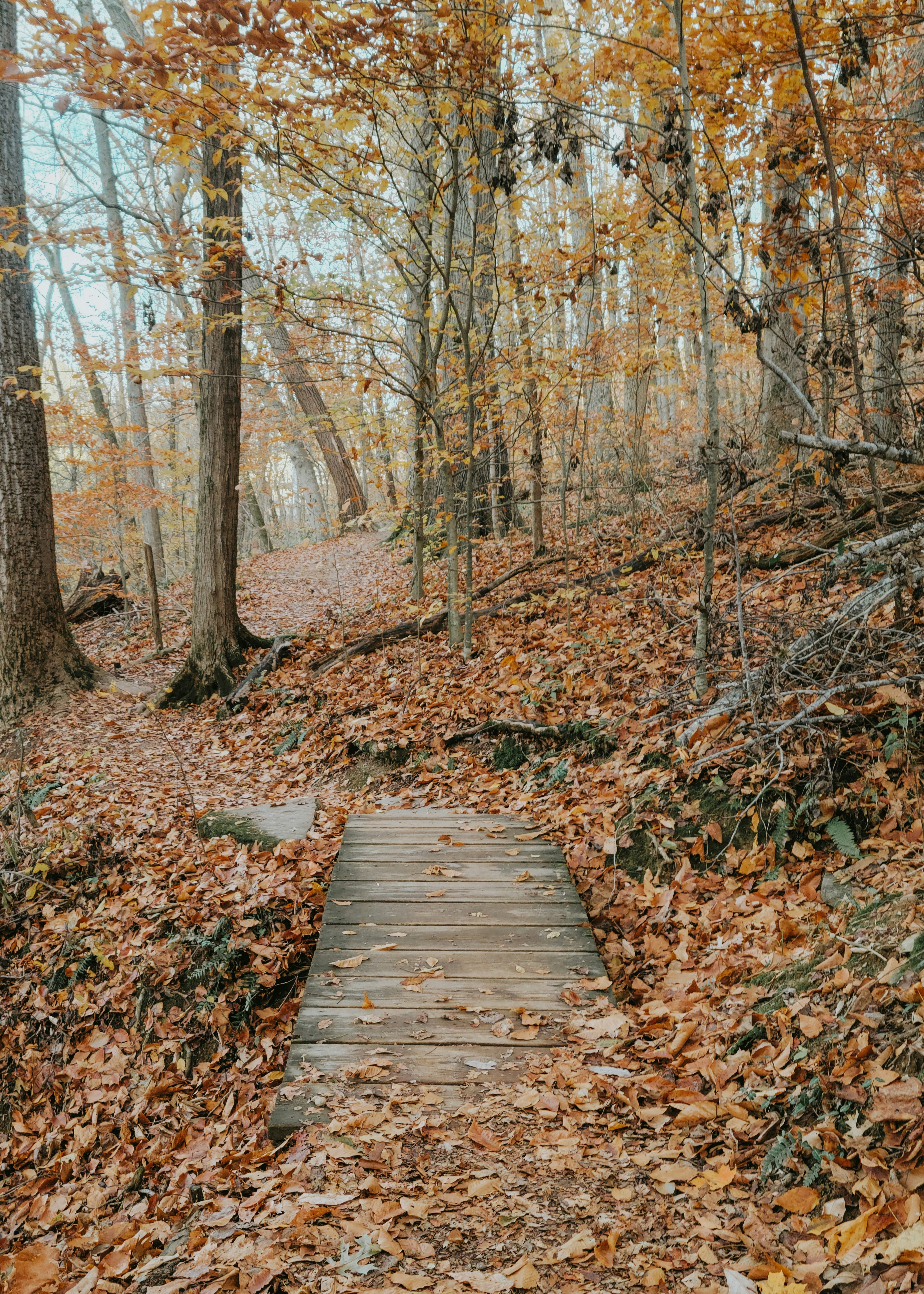 Photo by fieldworkframes