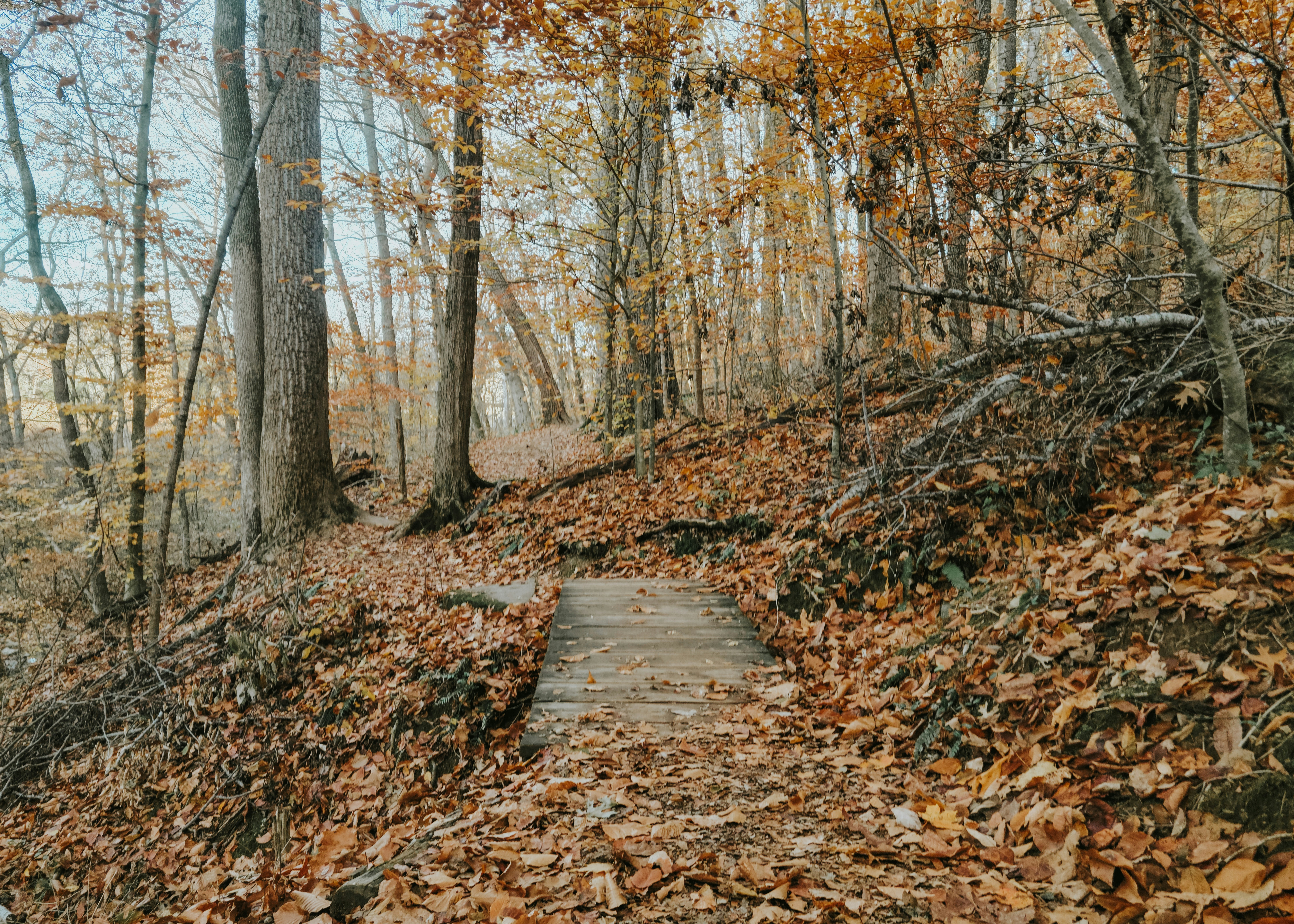 Photo by fieldworkframes