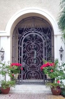 A decorative wrought iron security gate with intricate scrollwork stands in front of a wooden entry door. The archway above the gate complements the elegant design. Two wall-mounted lanterns flank the entrance, providing a classic touch. Bright red flowering plants in pots add a vibrant contrast to the neutral tones of the walls.