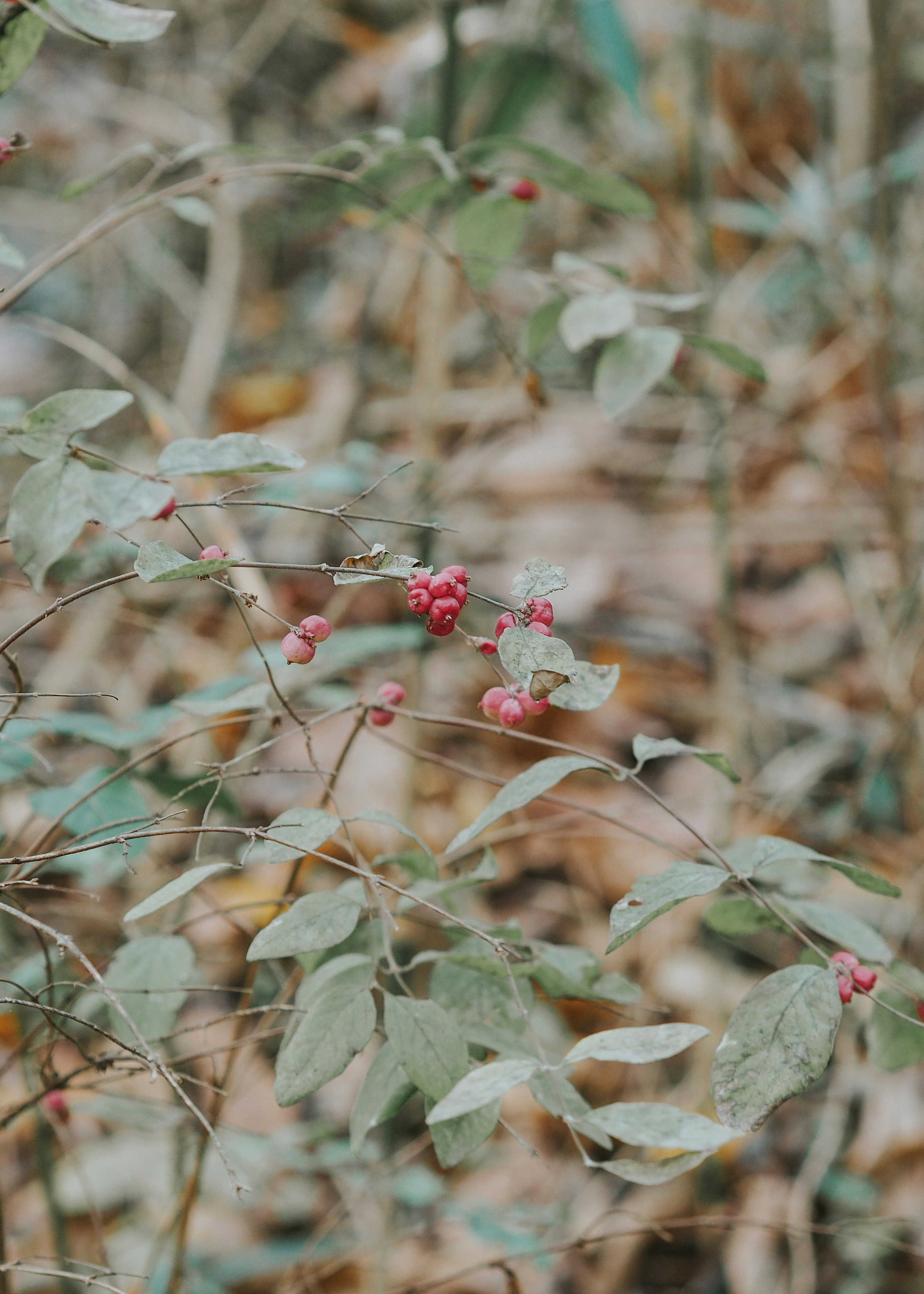 Photo by fieldworkframes