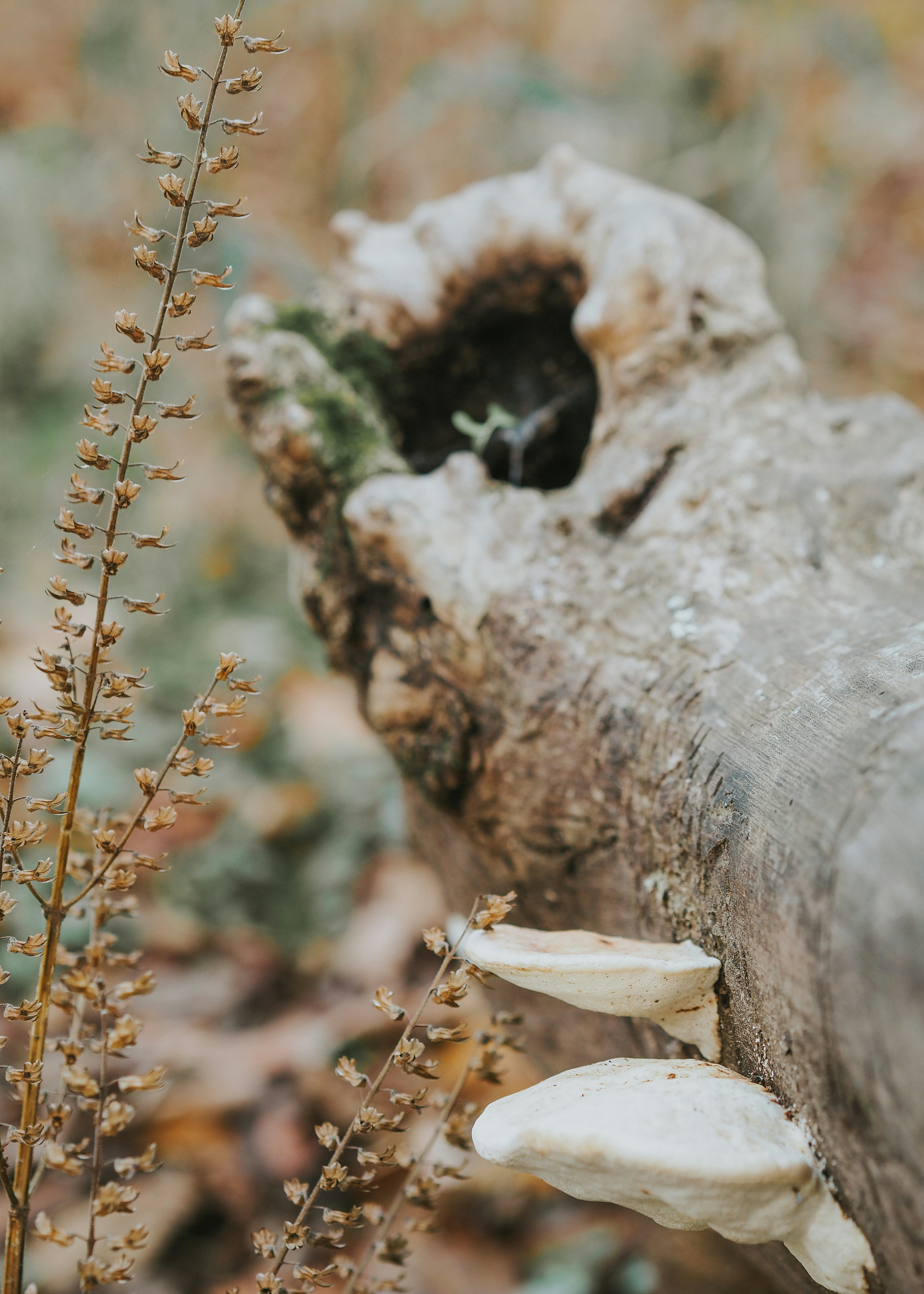 Photo by fieldworkframes