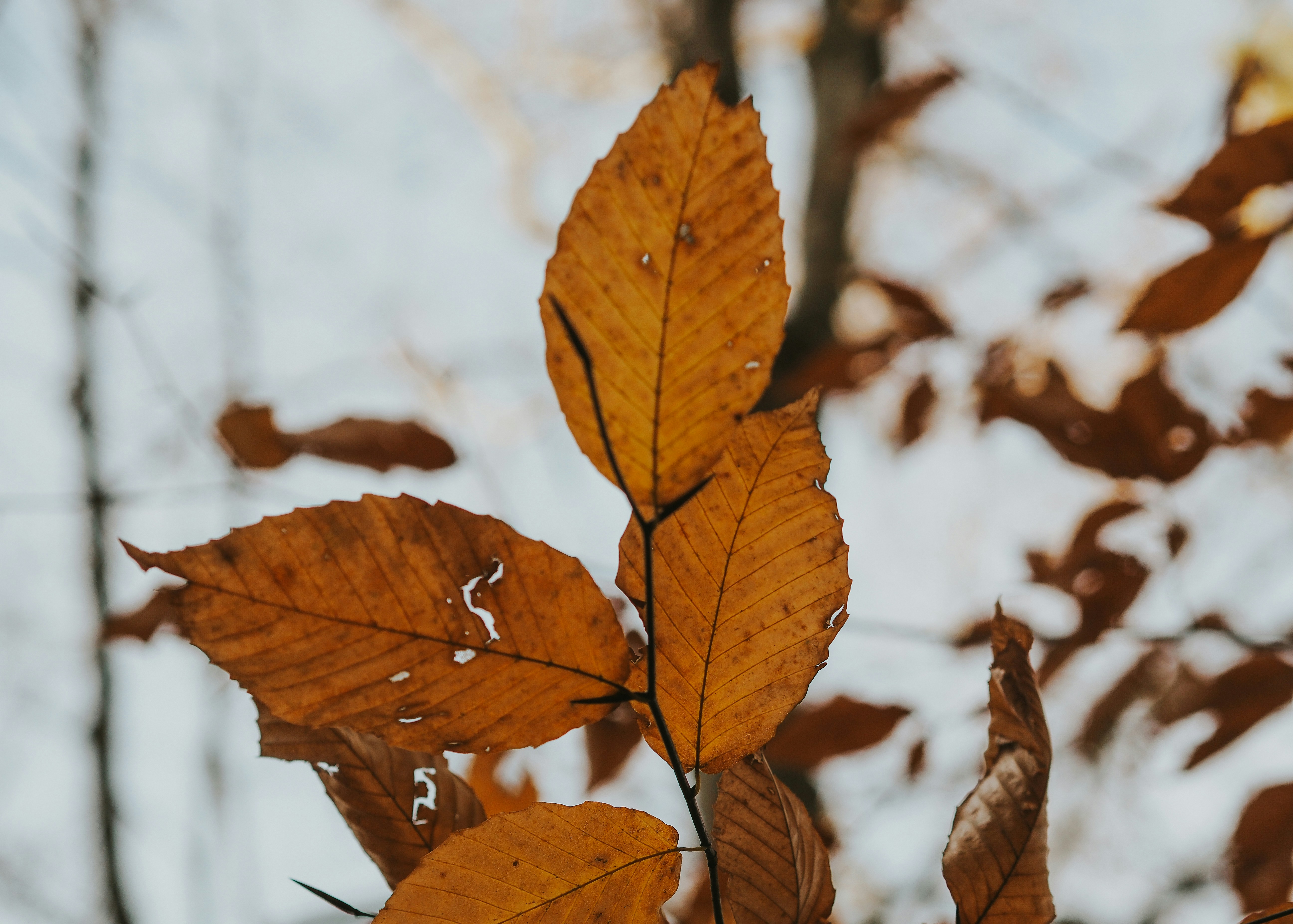 Photo by fieldworkframes