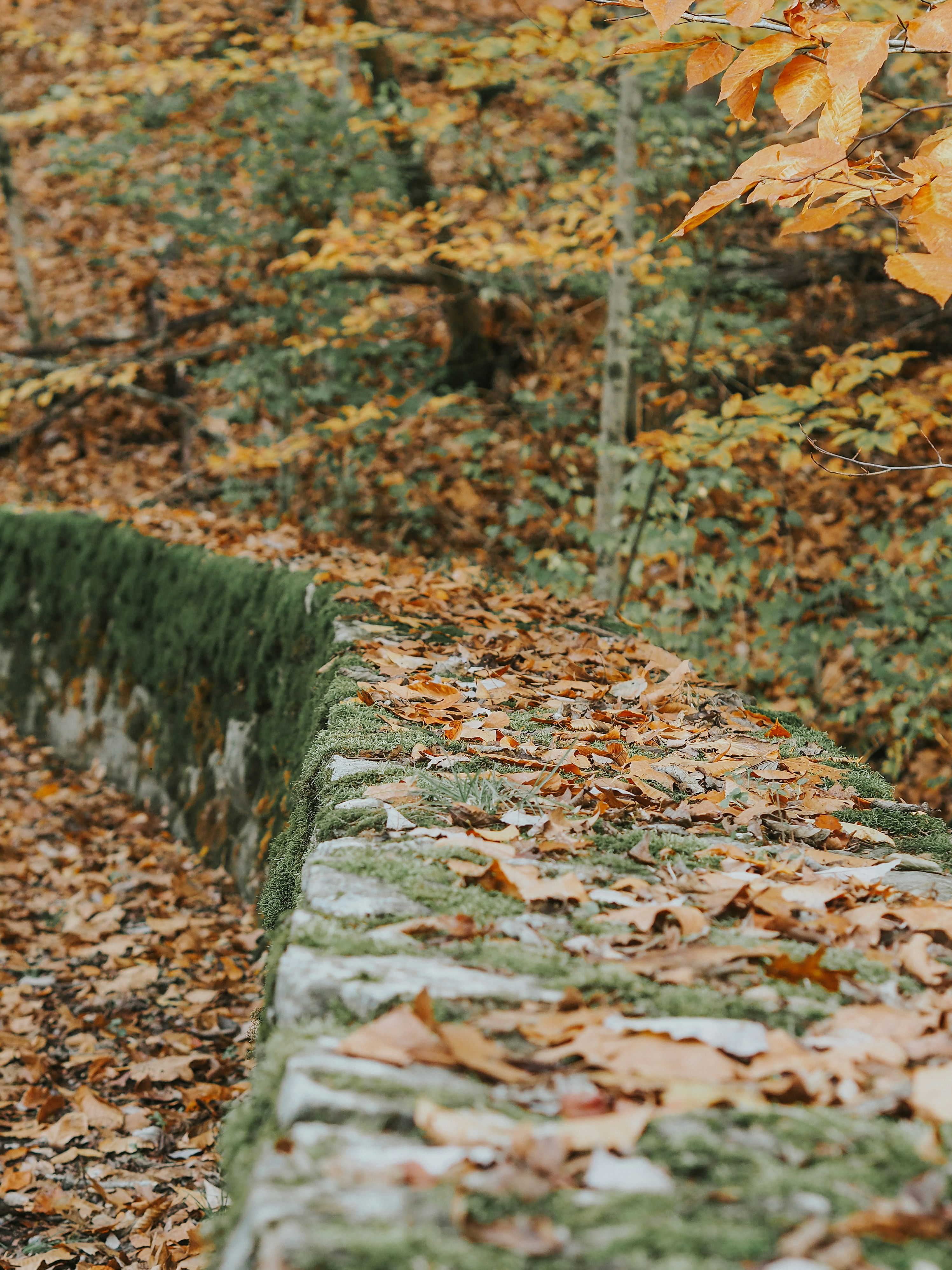 Photo by fieldworkframes