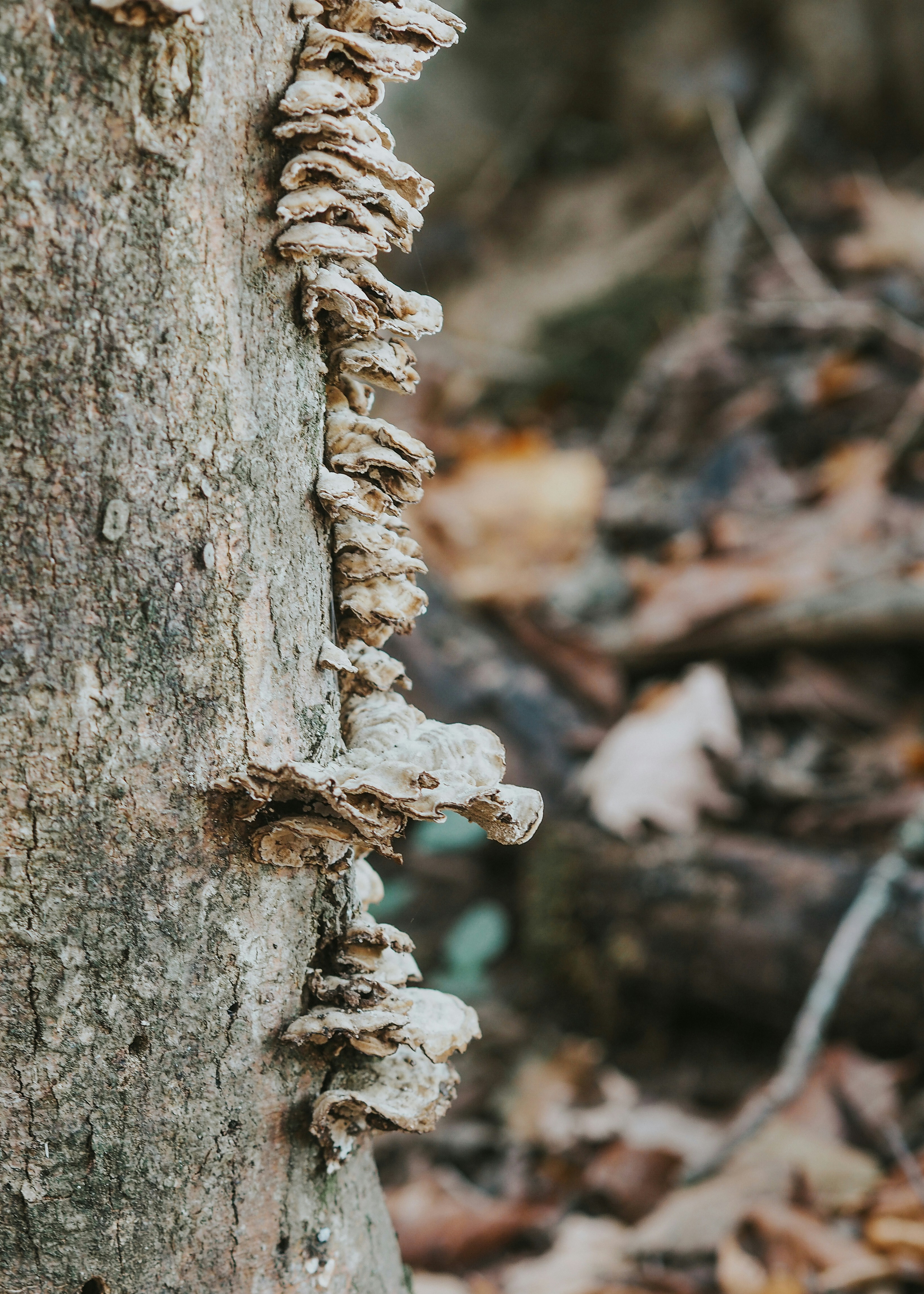 Photo by fieldworkframes