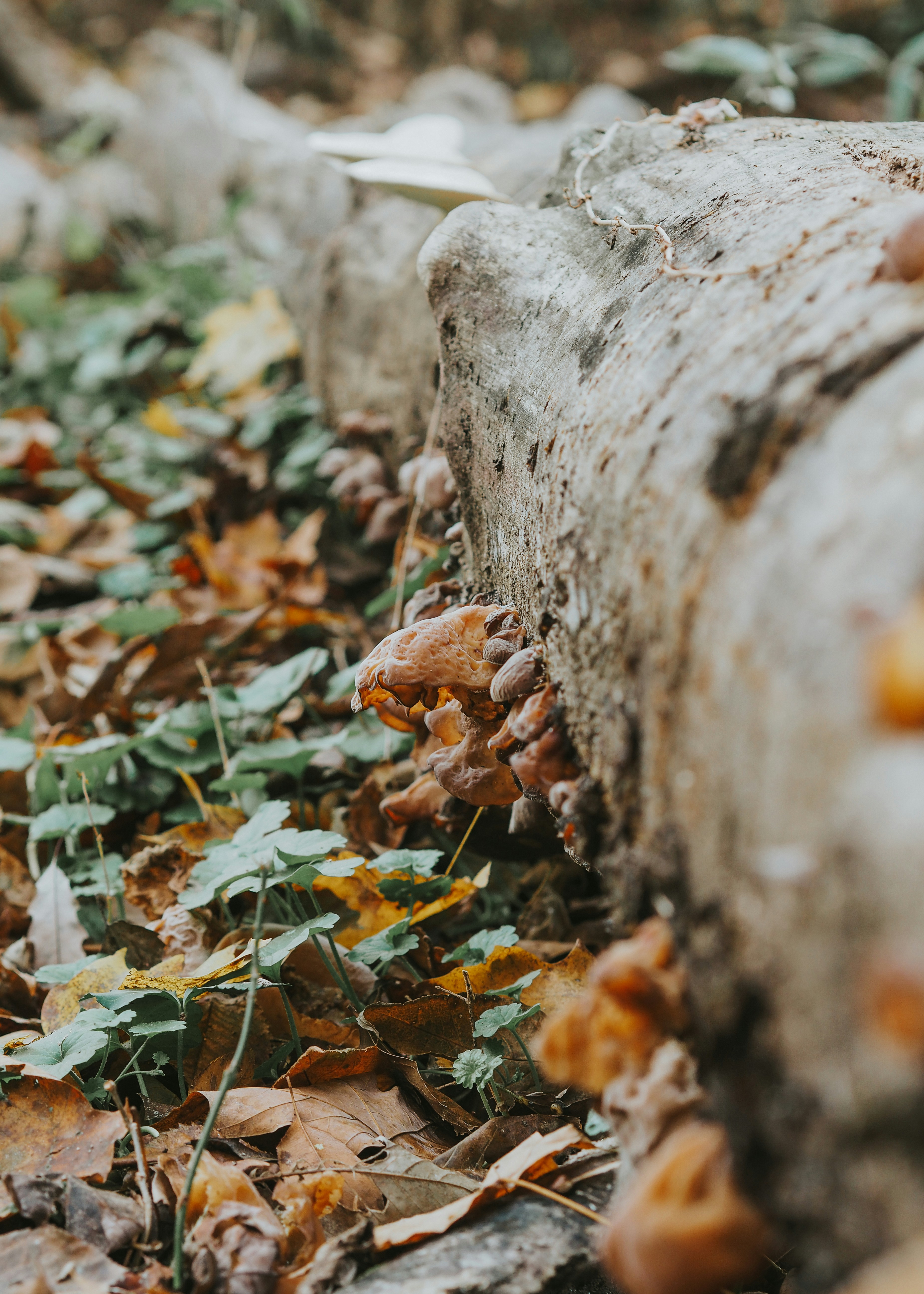 Photo by fieldworkframes