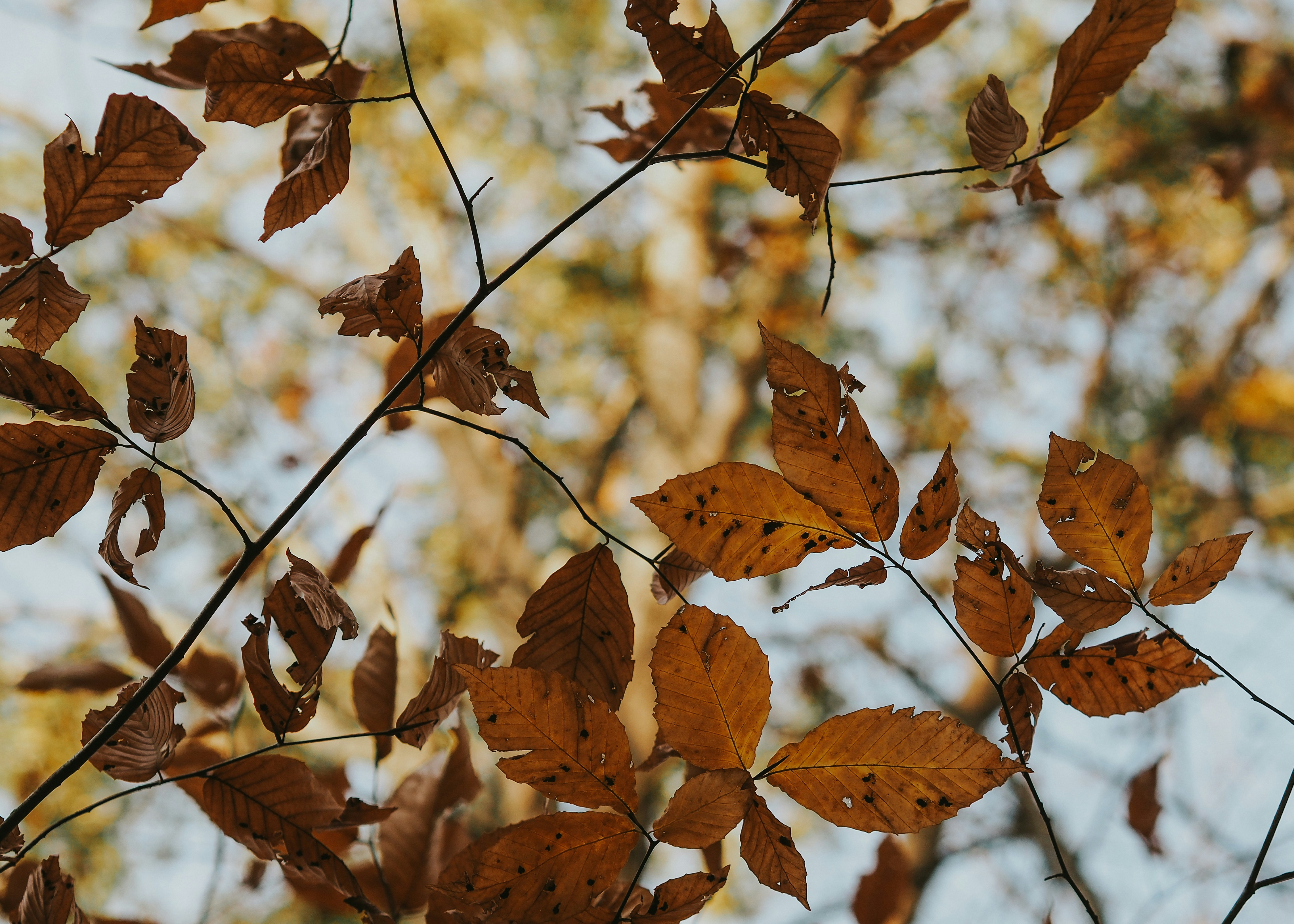 Photo by fieldworkframes