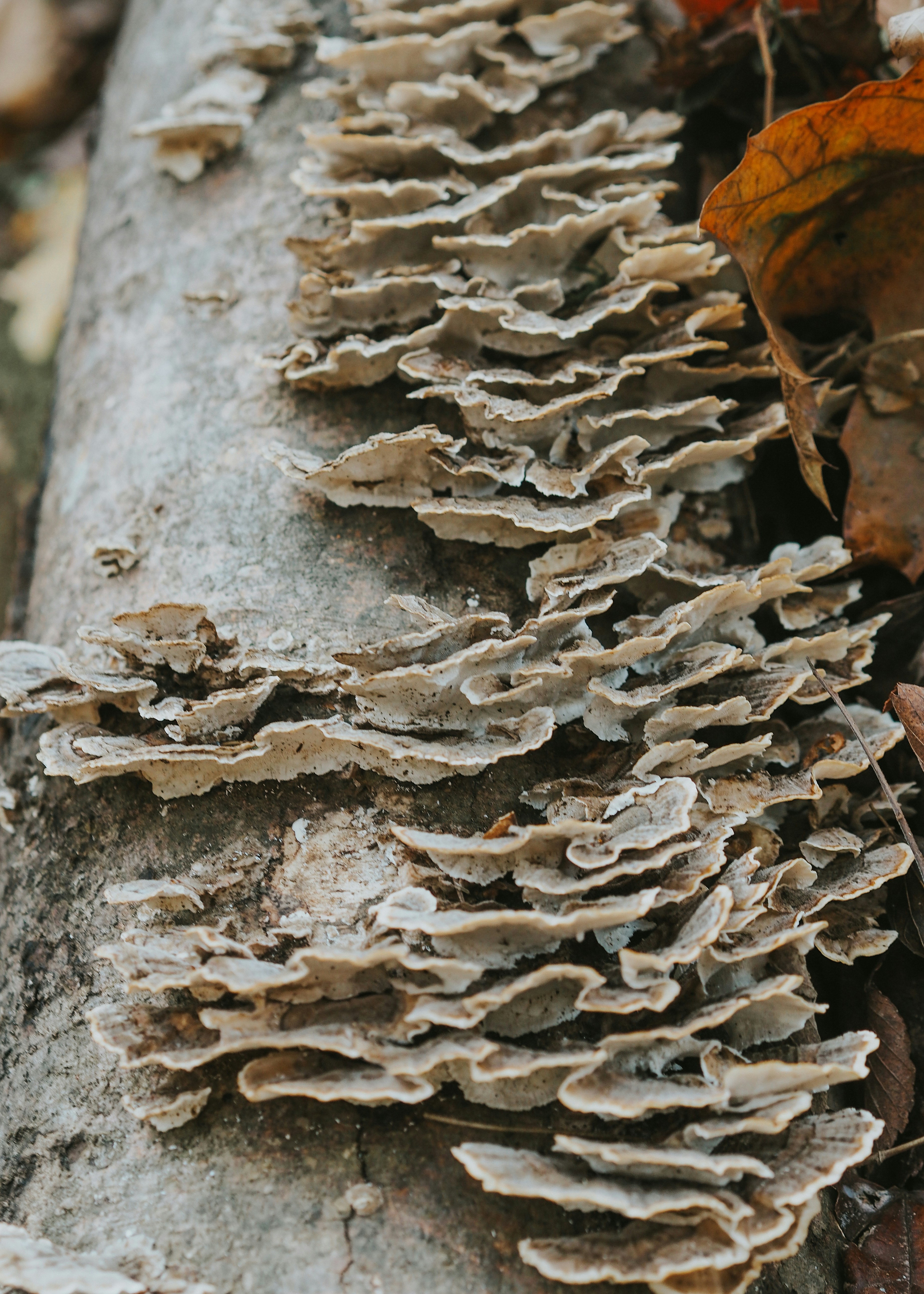 Photo by fieldworkframes