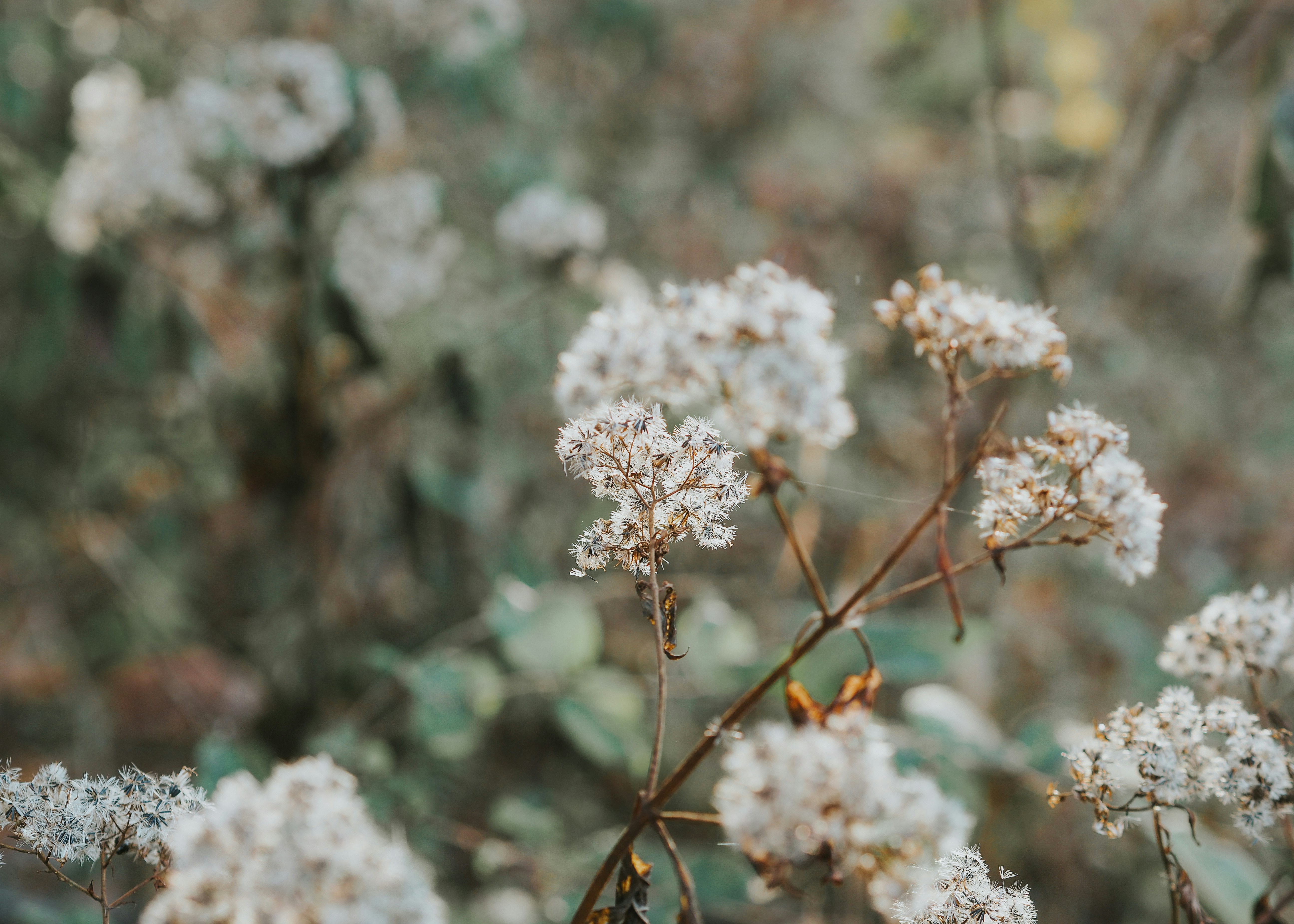 Photo by fieldworkframes