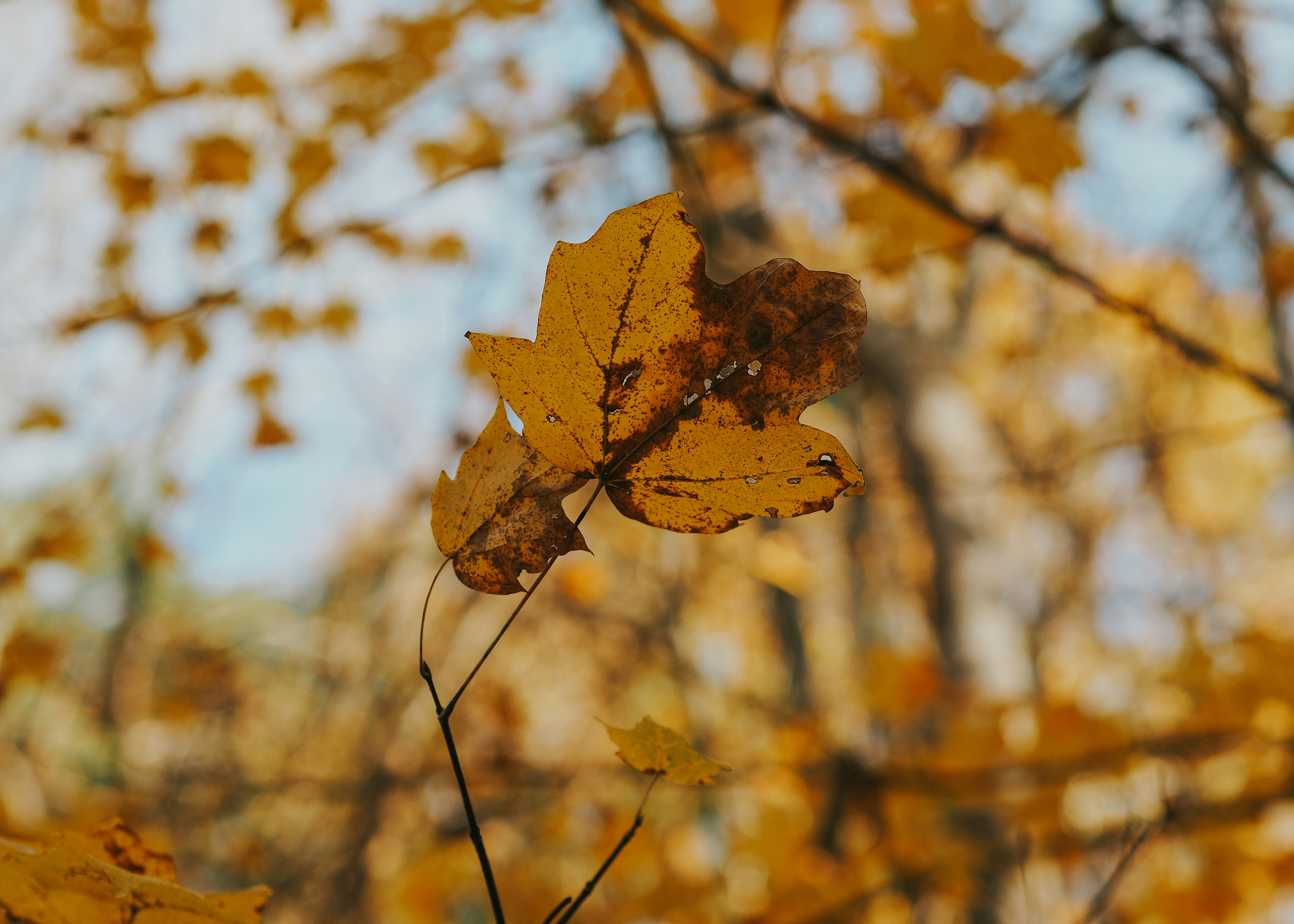 Photo by fieldworkframes