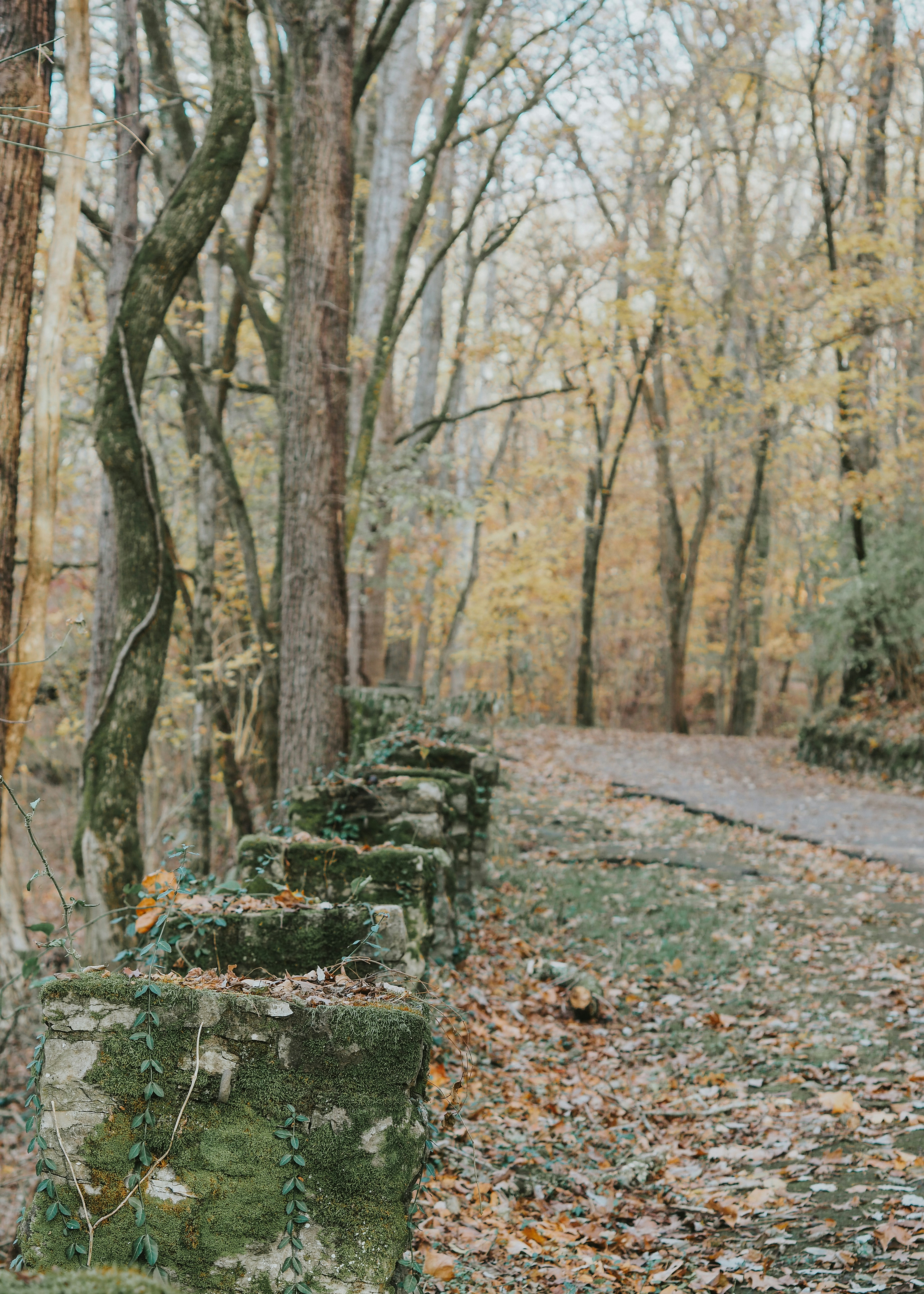 Photo by fieldworkframes