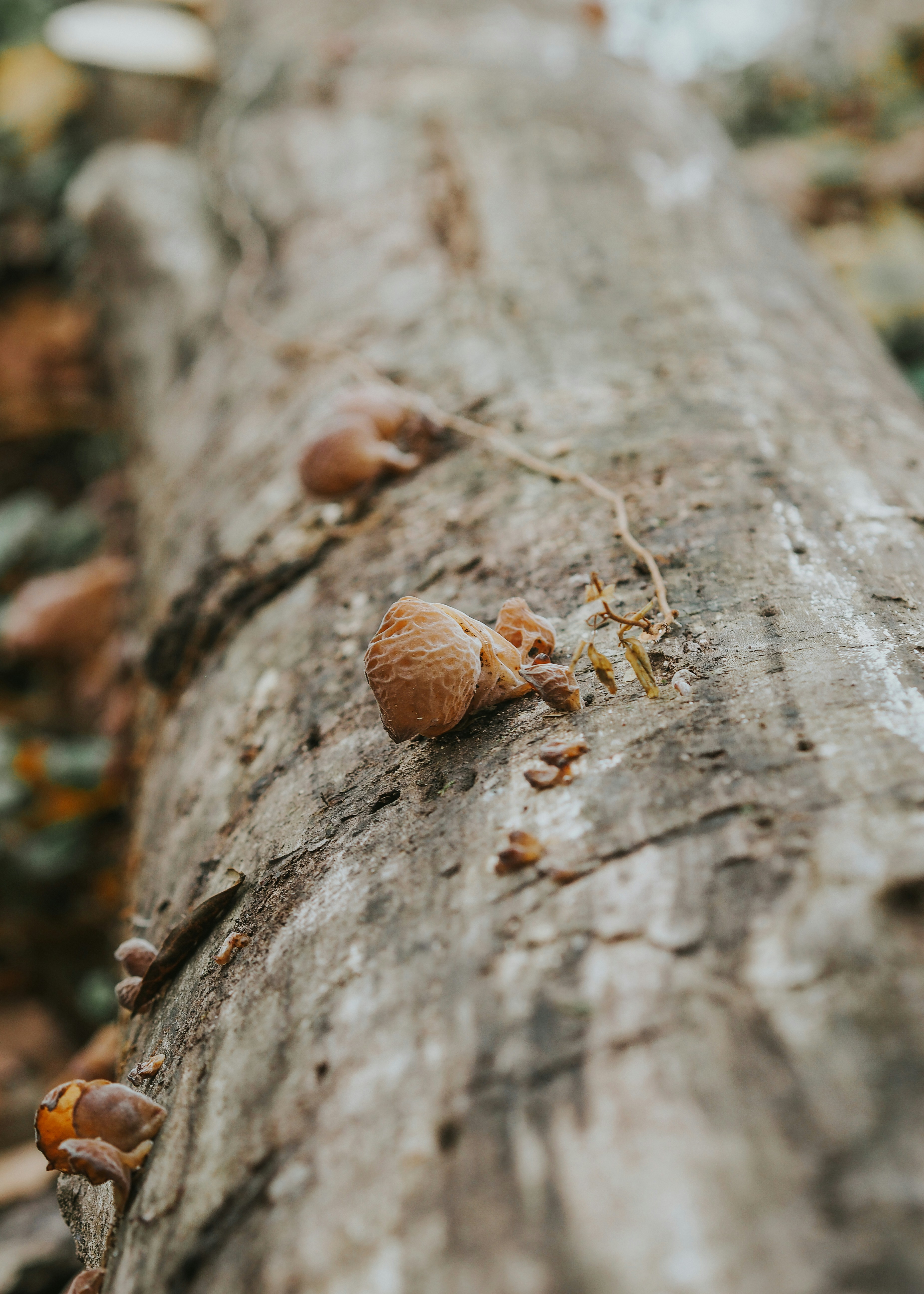 Photo by fieldworkframes