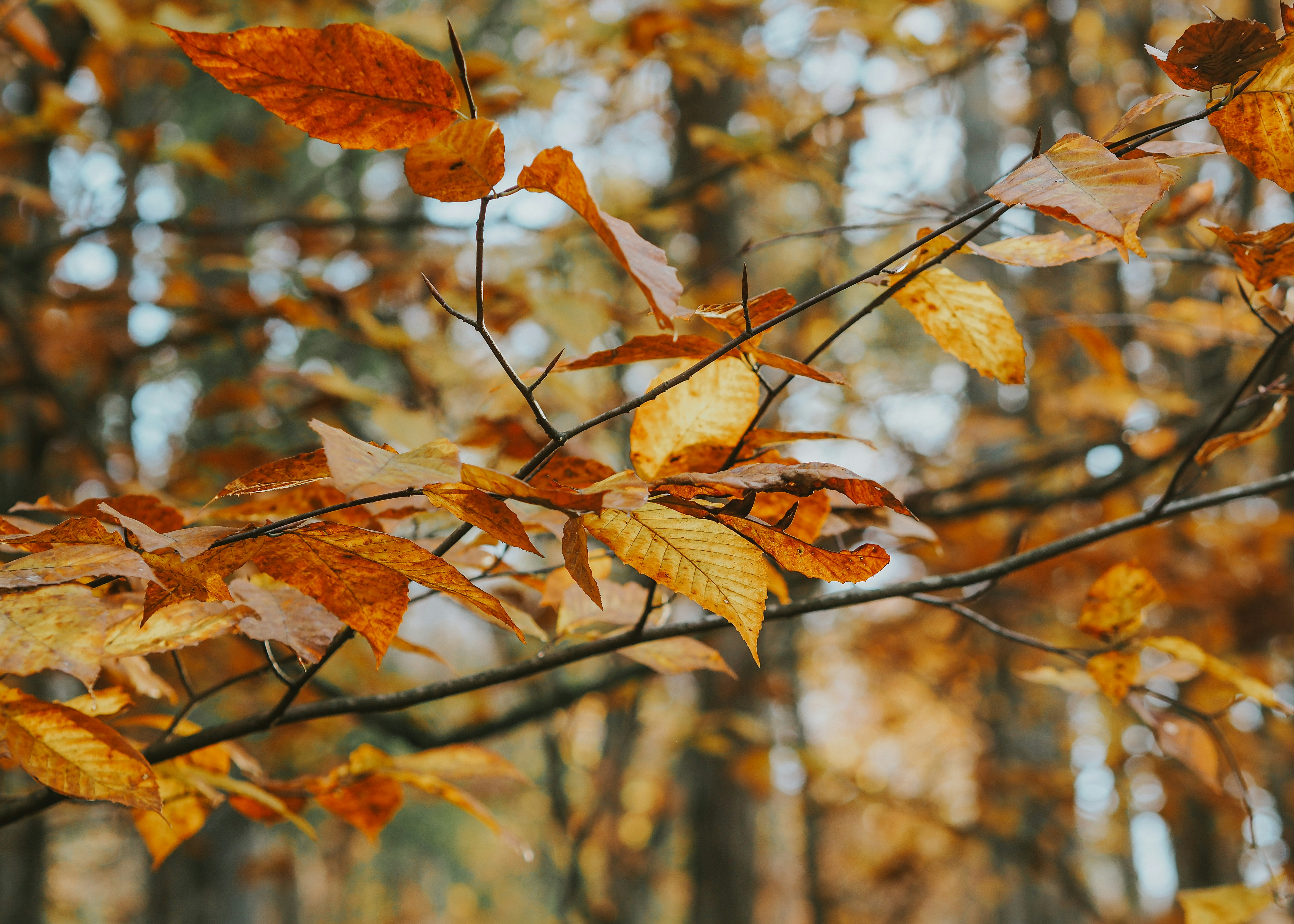 Photo by fieldworkframes