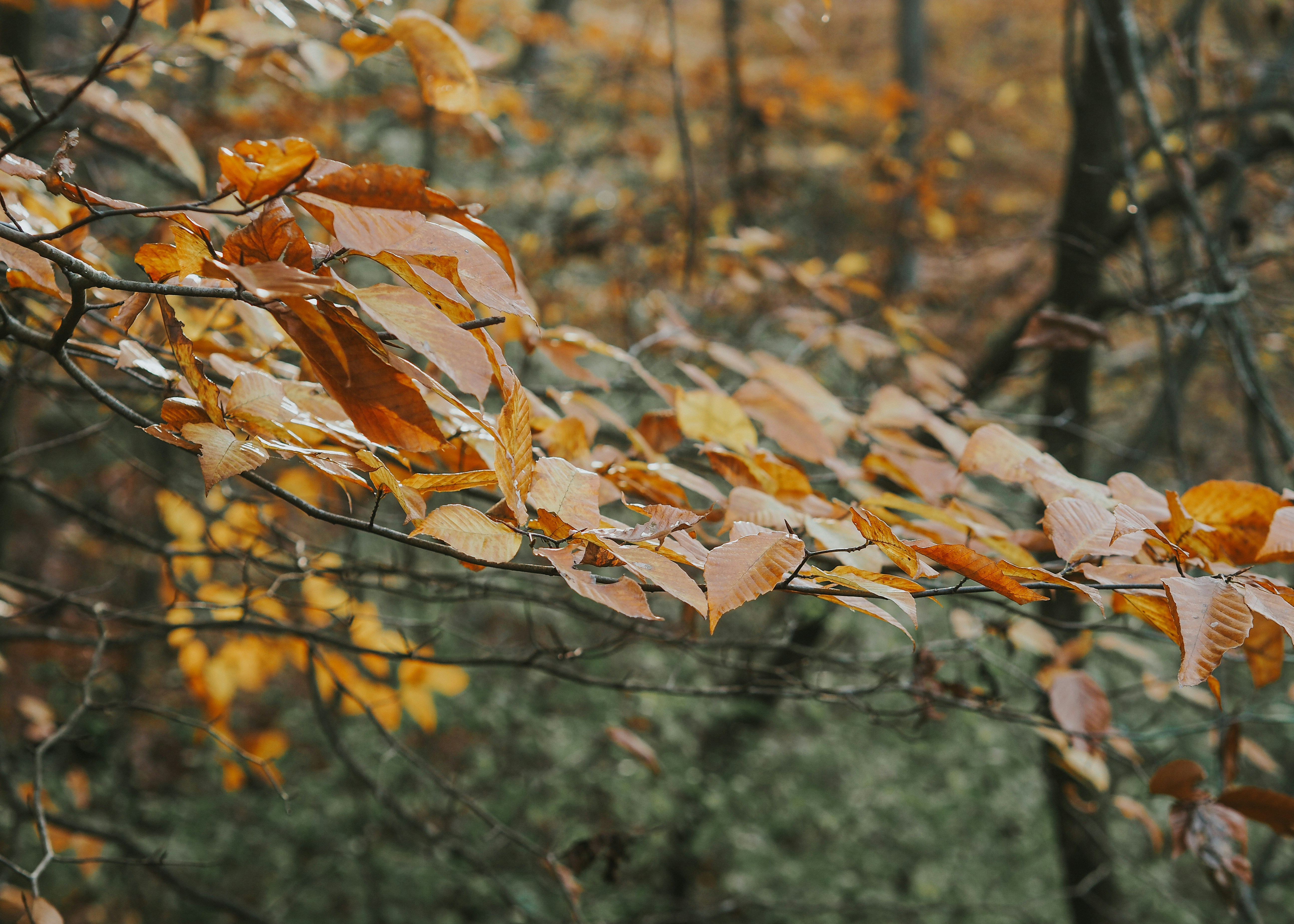 Photo by fieldworkframes