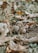 A close-up view of acorns scattered on the ground amidst dried grass and fallen leaves. The setting is natural and earthy with a mix of textures from the acorn shells and leaf surfaces.
