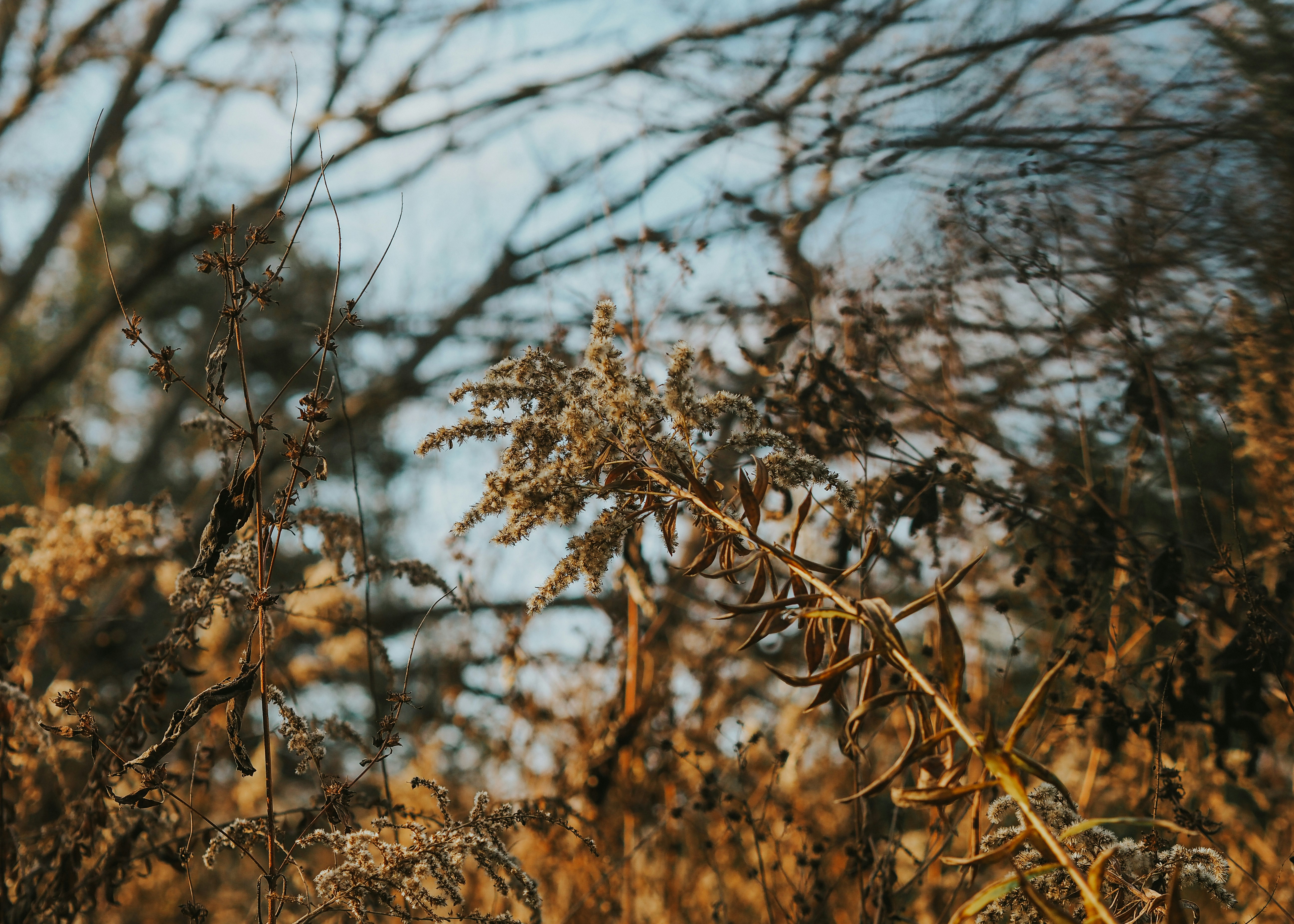 Photo by fieldworkframes