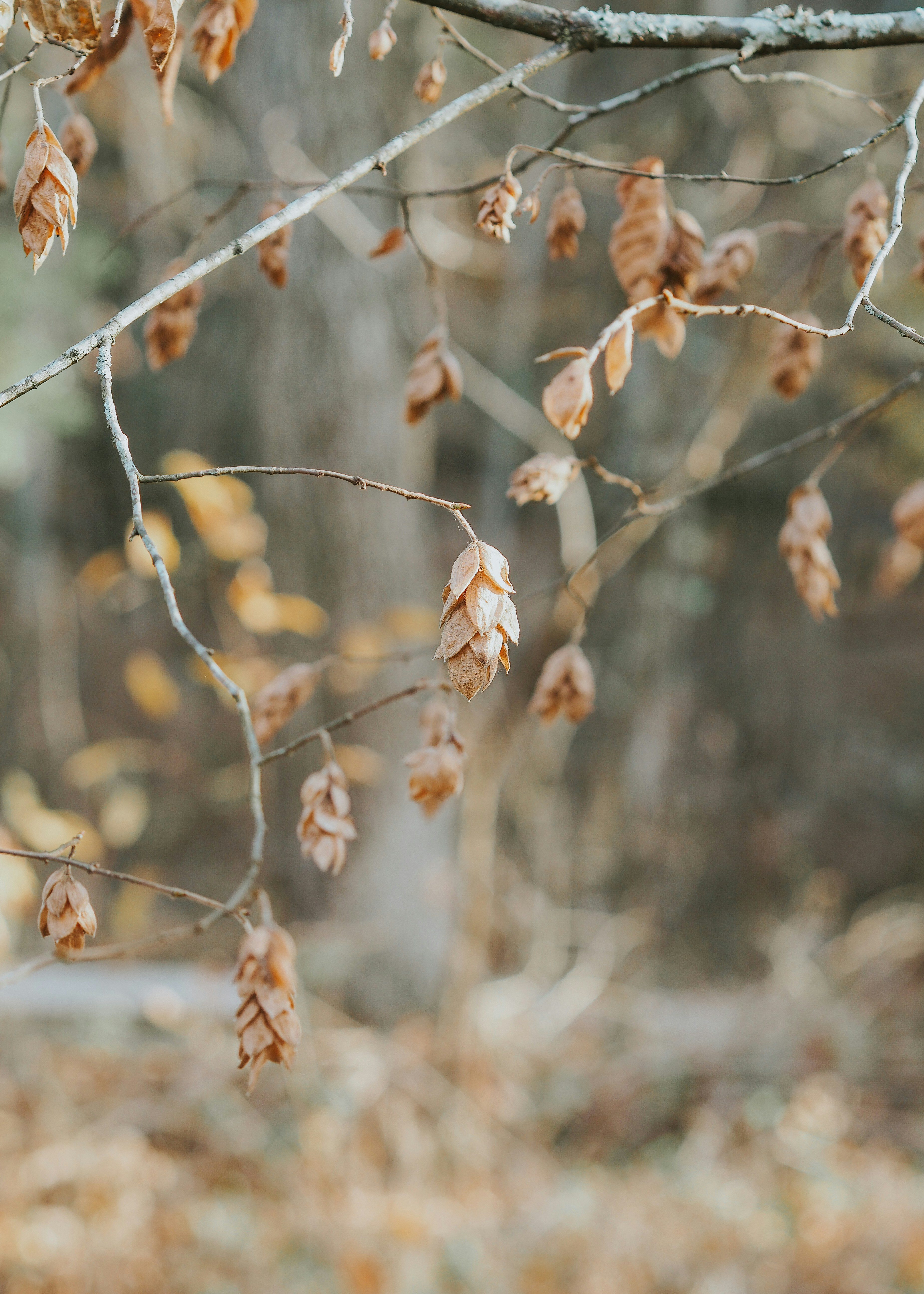 Photo by fieldworkframes