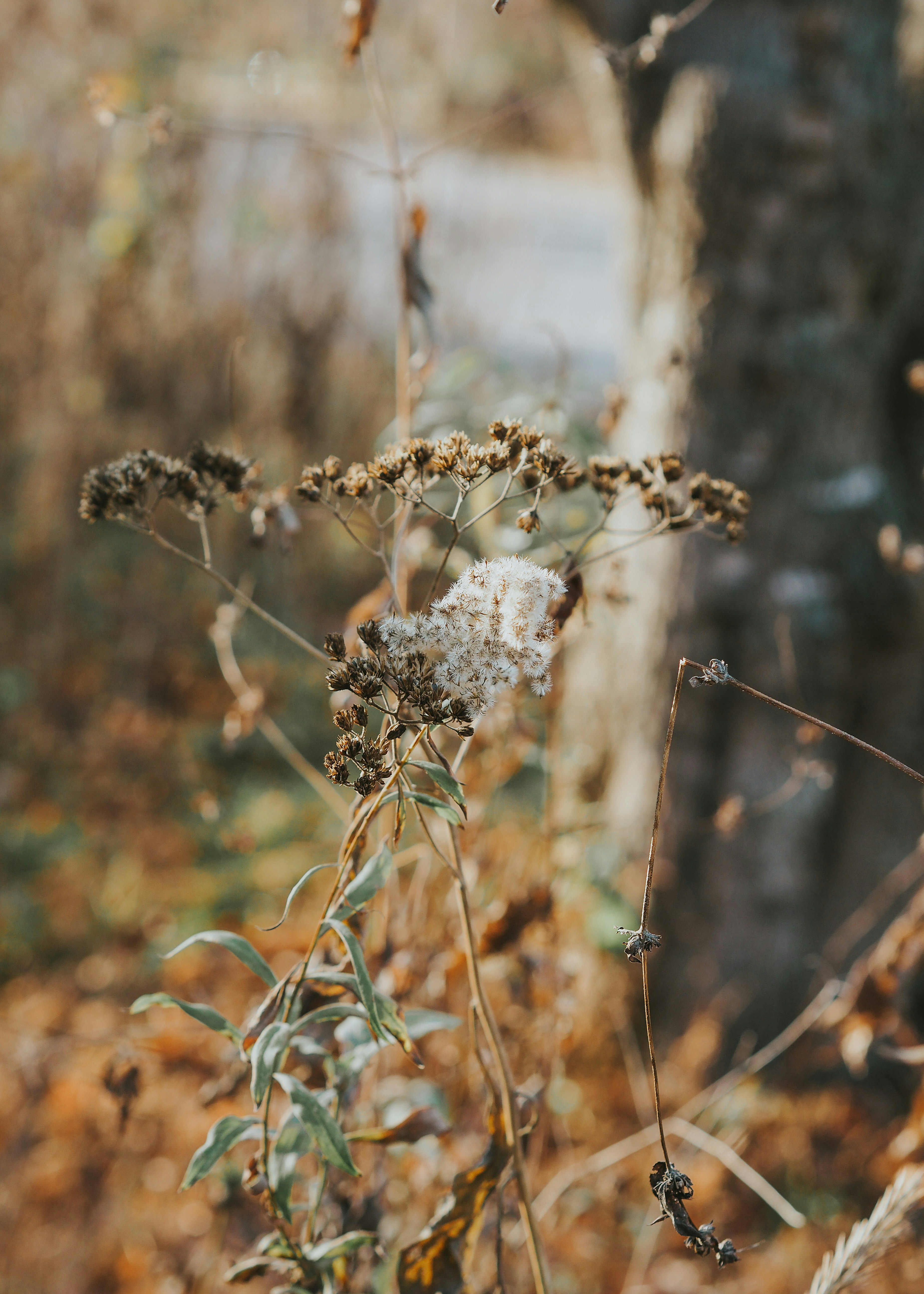 Photo by fieldworkframes