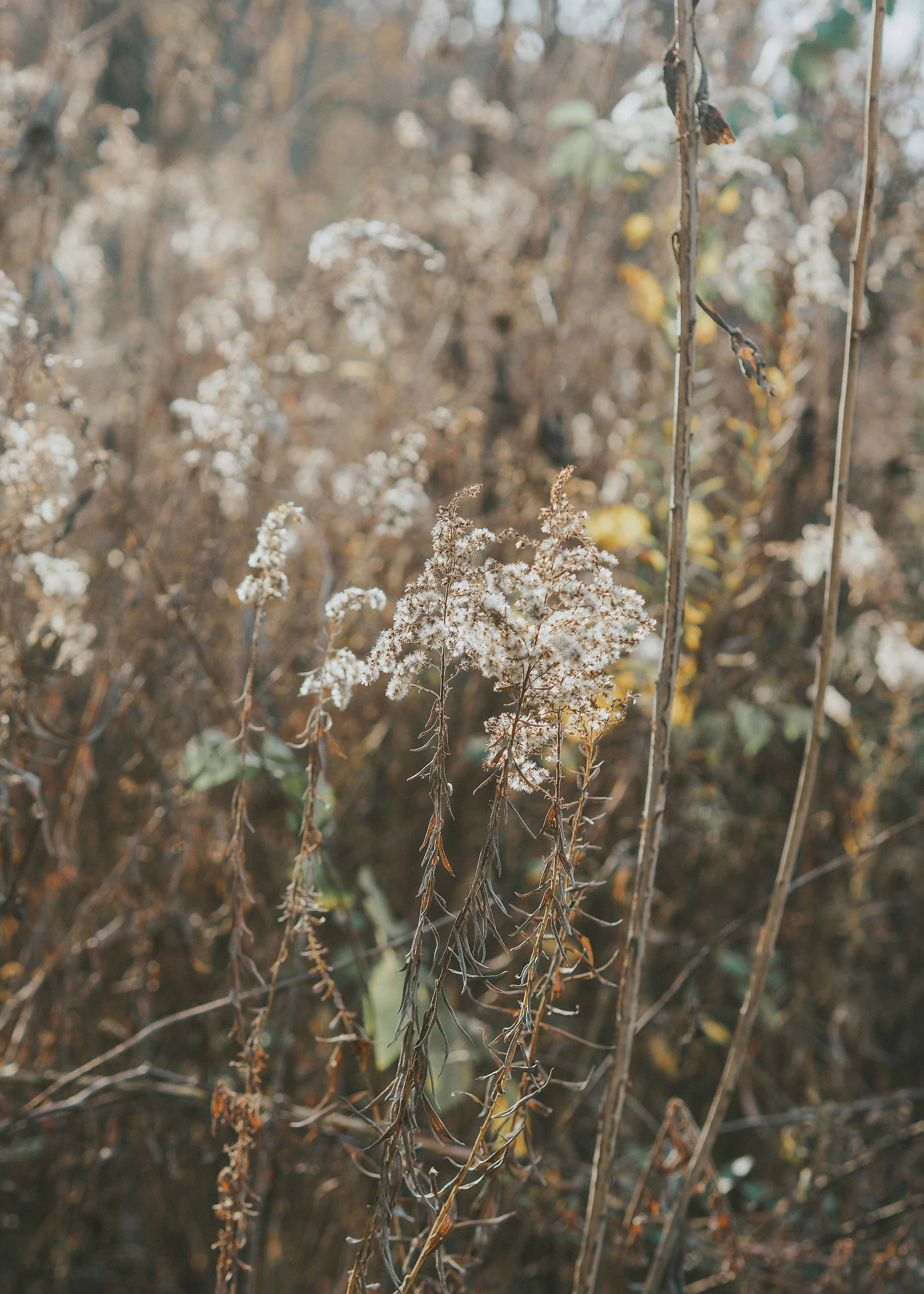 Photo by fieldworkframes