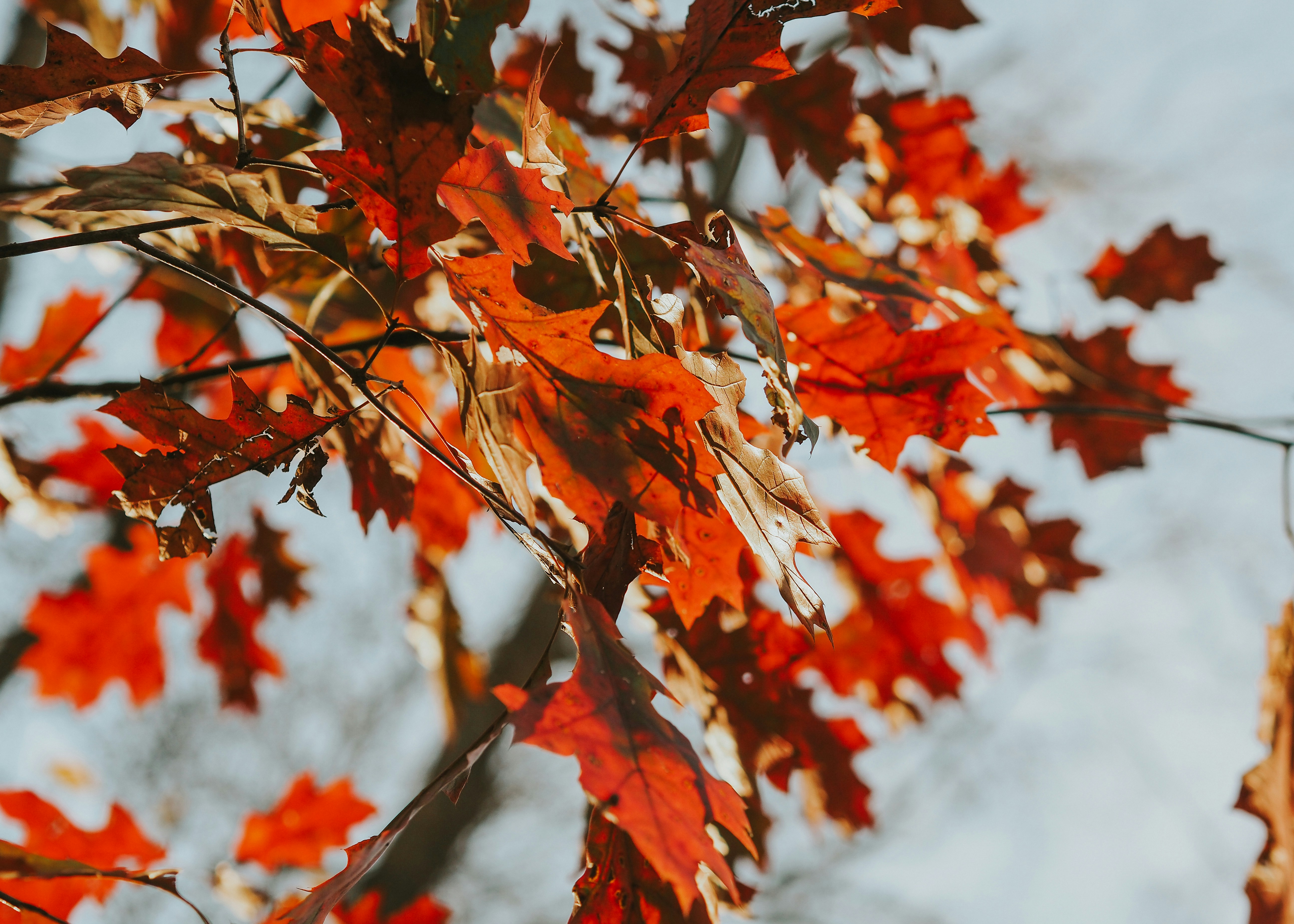 Photo by fieldworkframes