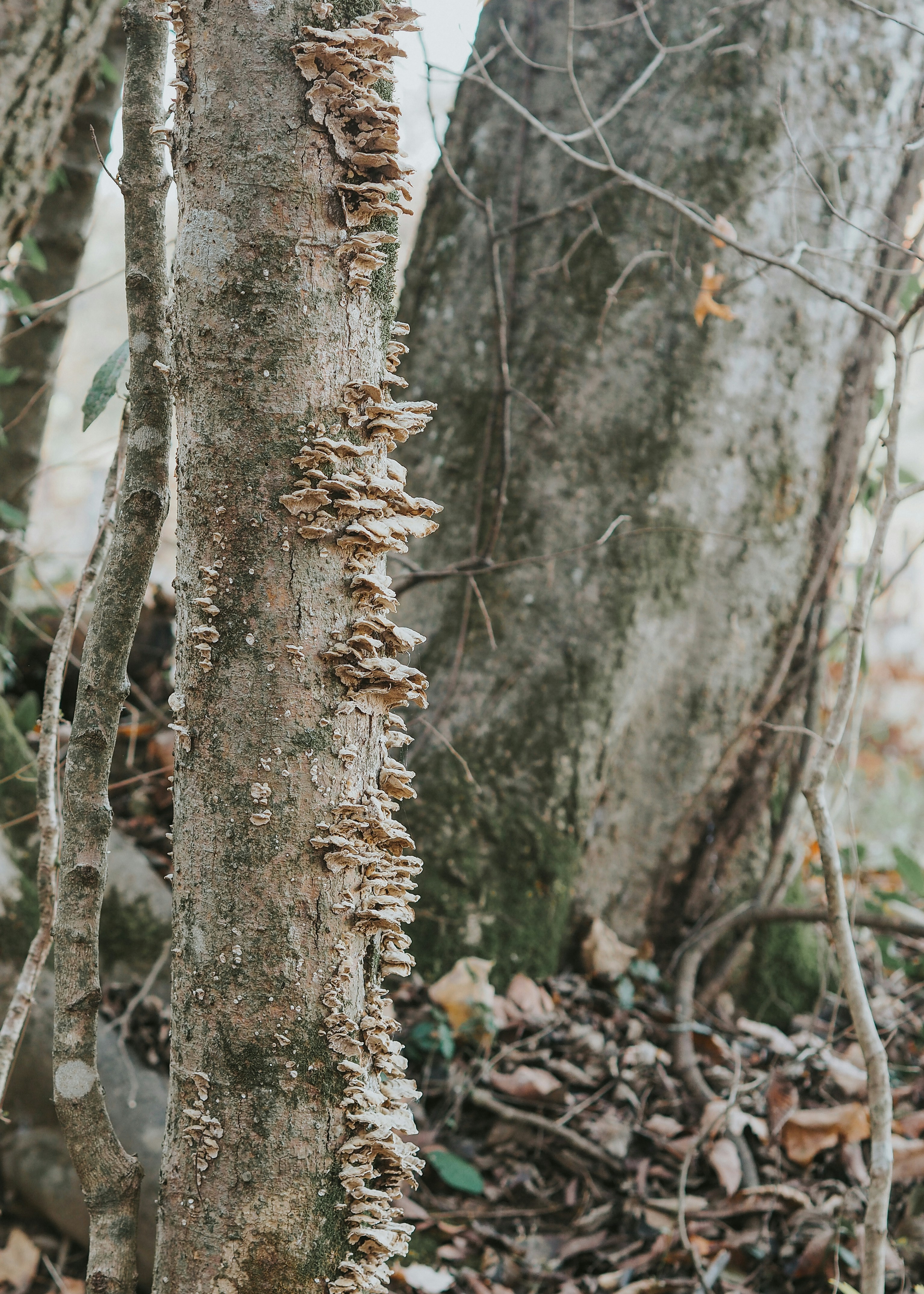 Photo by fieldworkframes