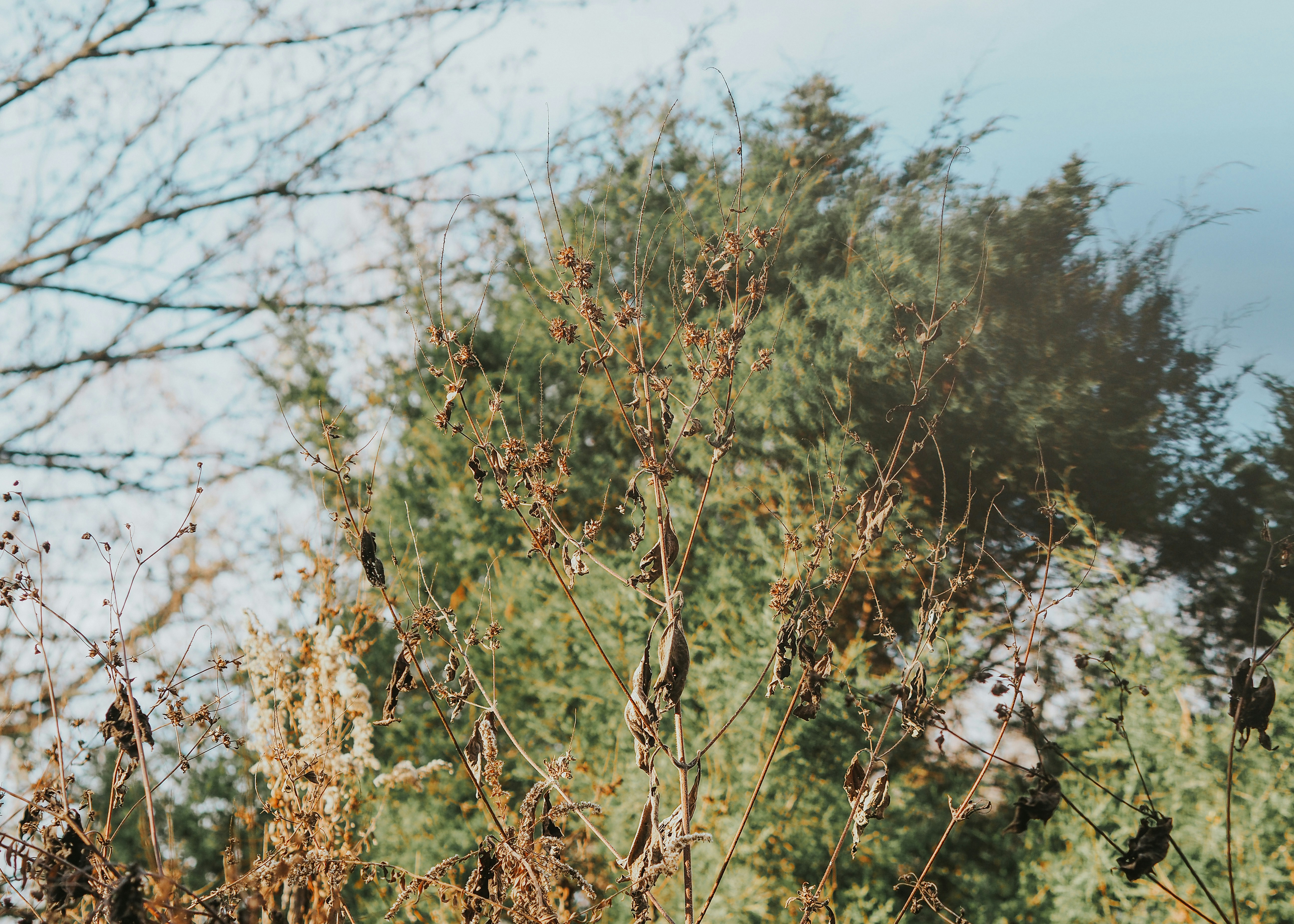 Photo by fieldworkframes