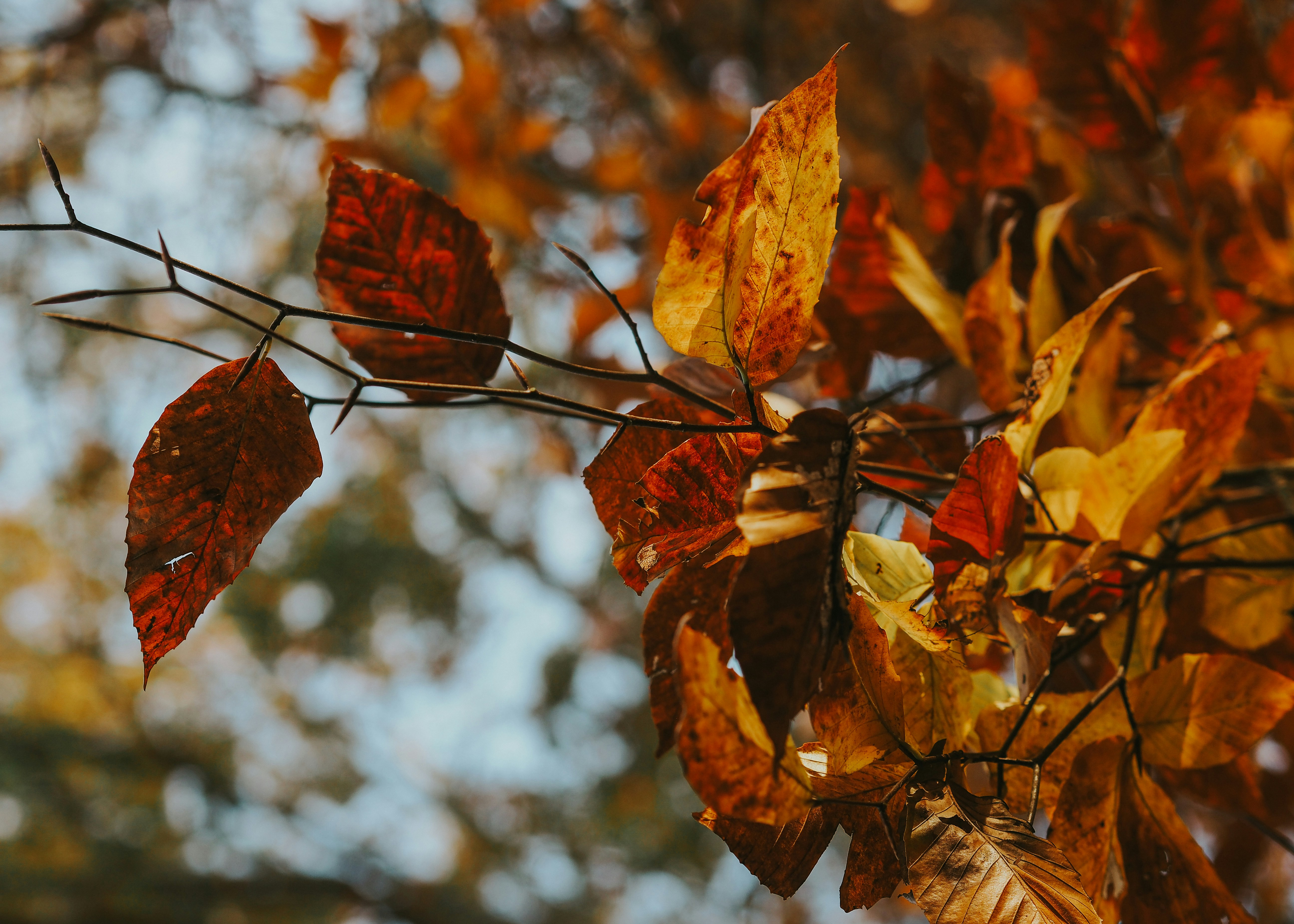 Photo by fieldworkframes