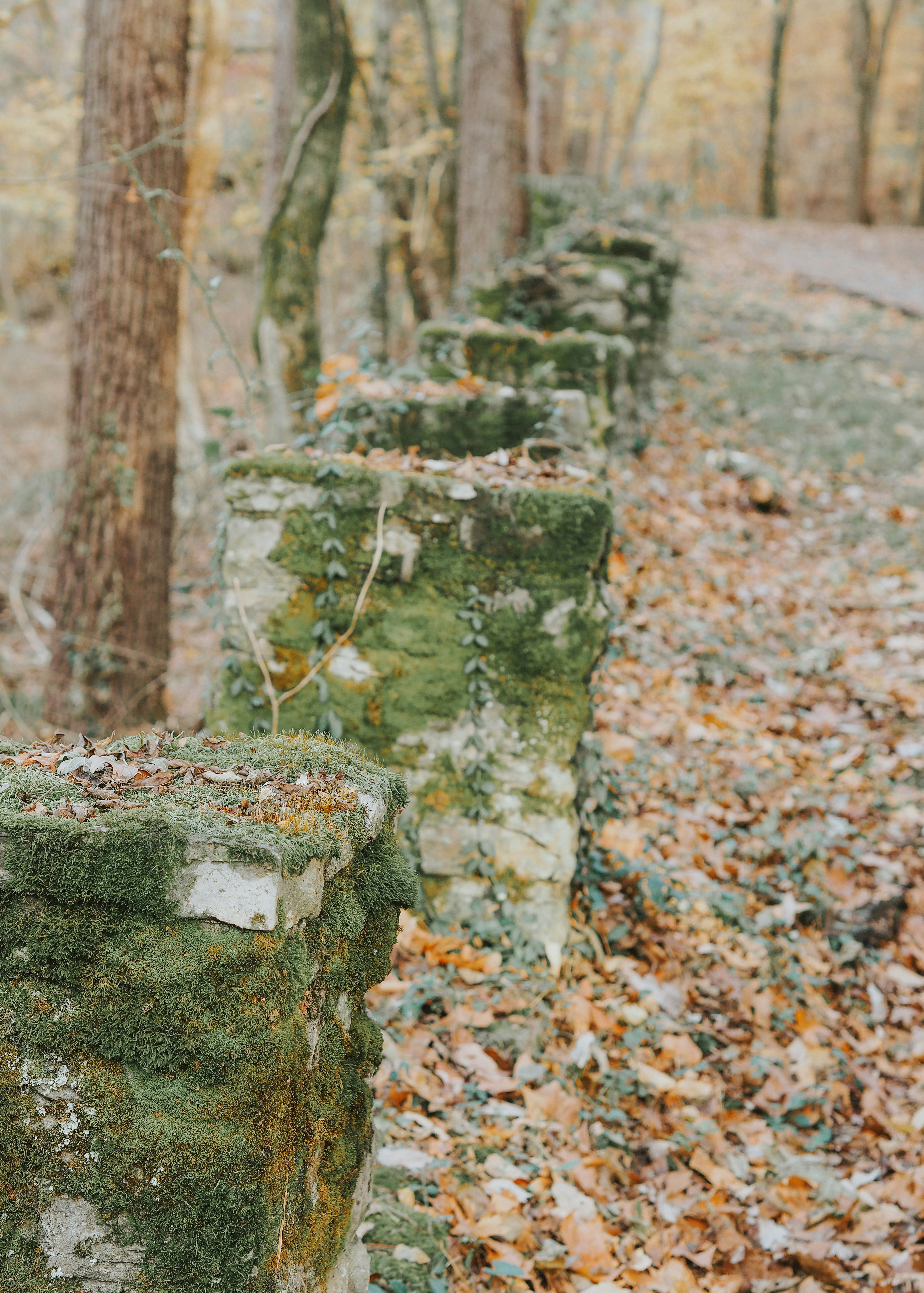 Photo by fieldworkframes