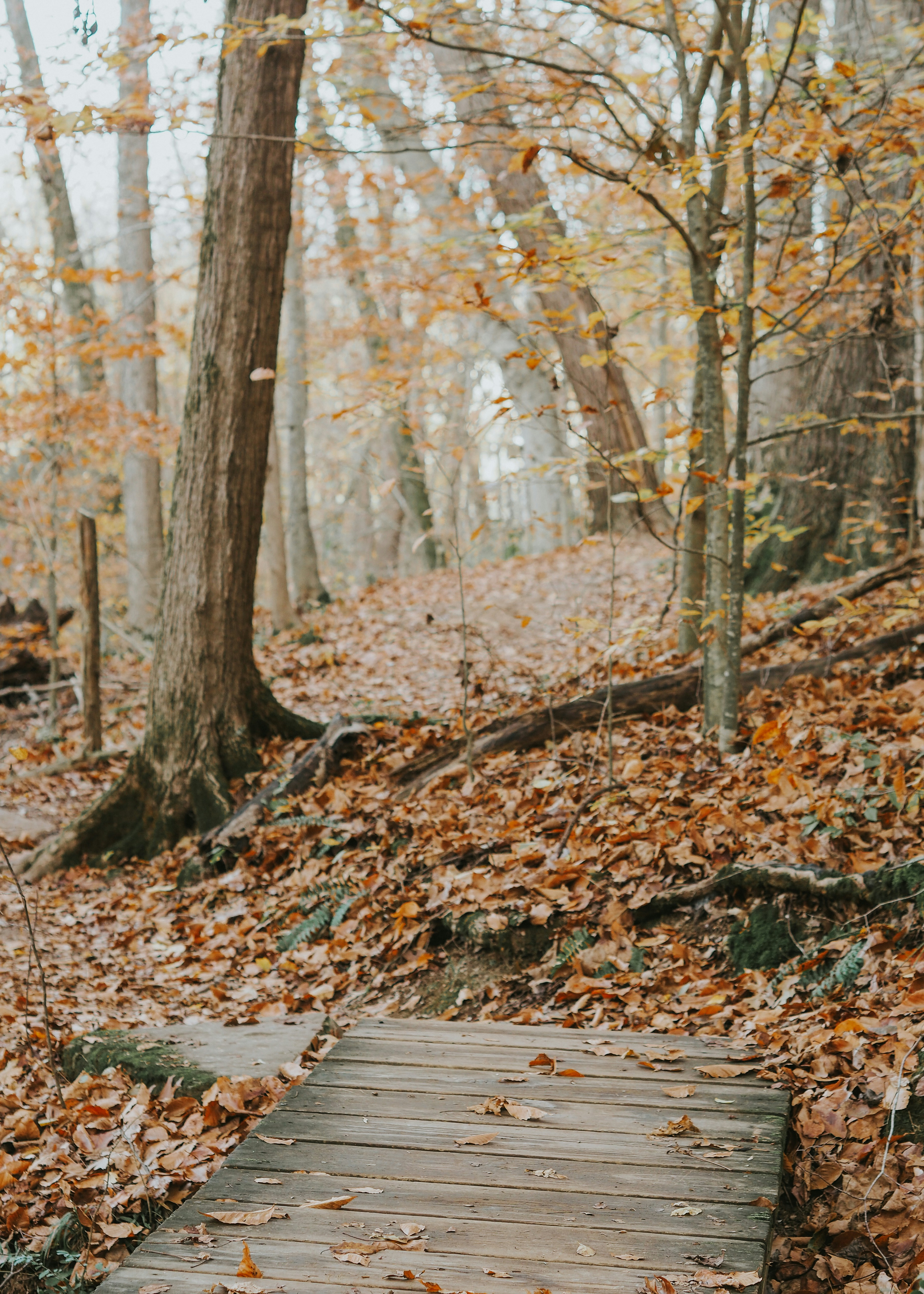 Photo by fieldworkframes