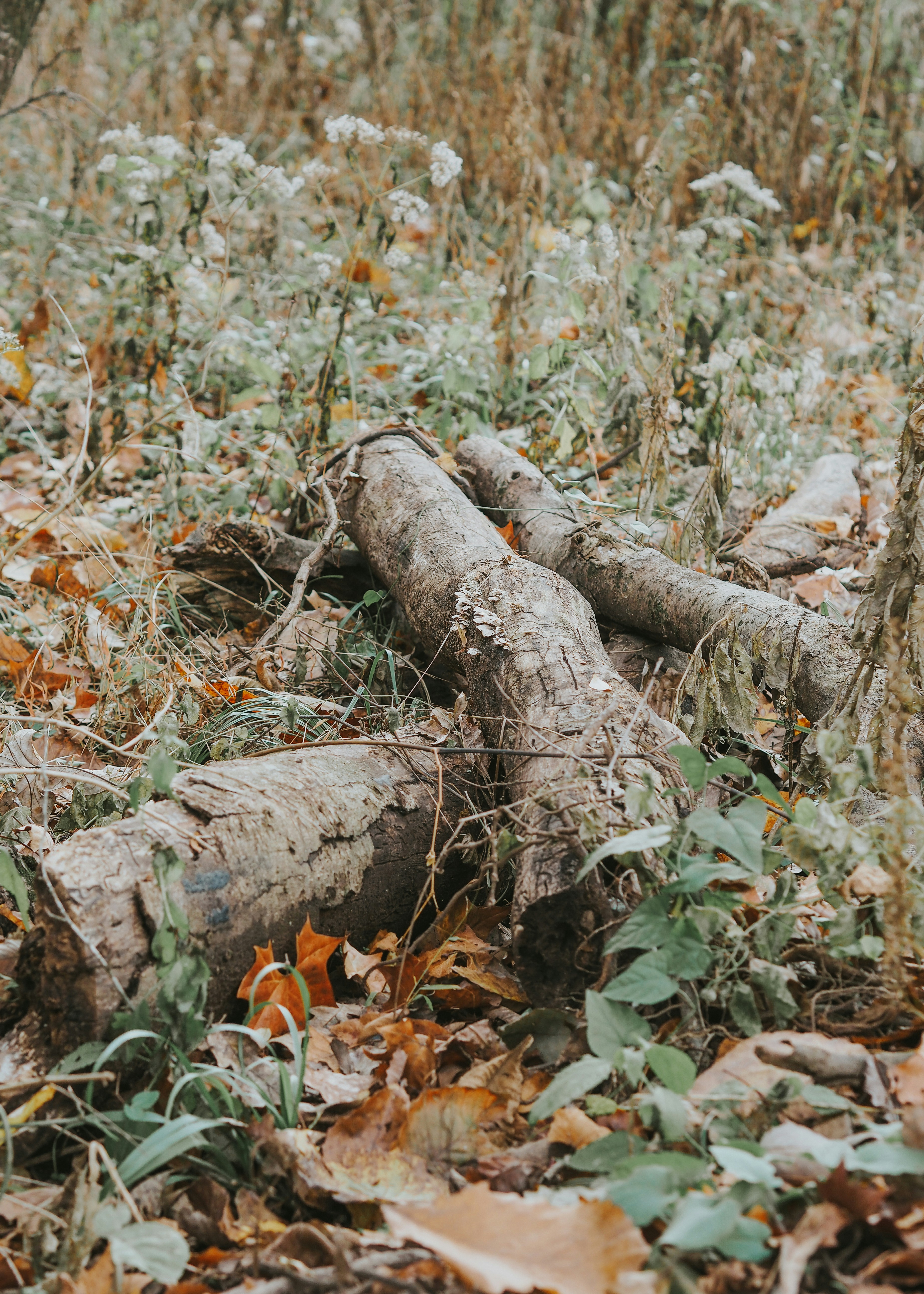 Photo by fieldworkframes