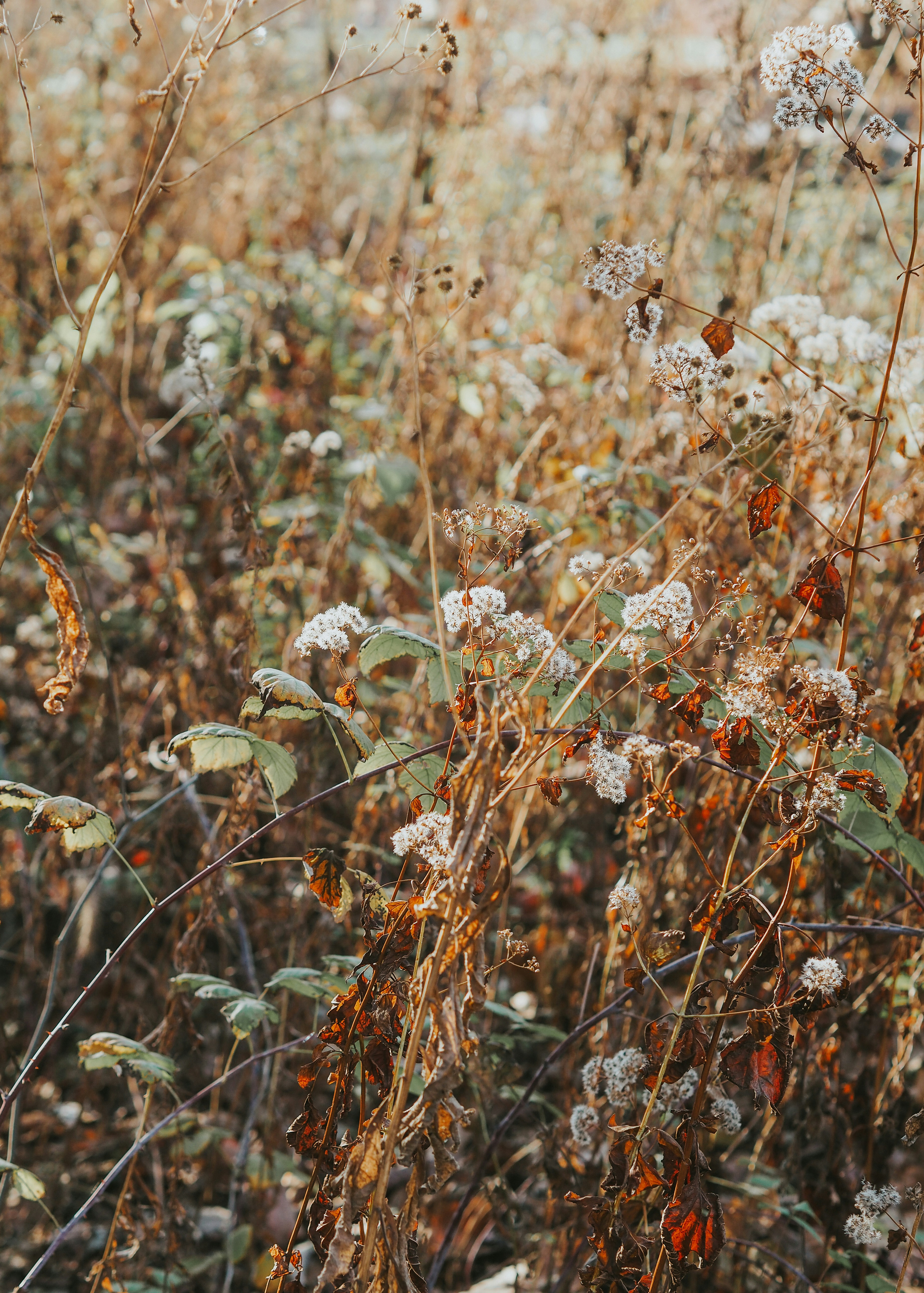 Photo by fieldworkframes